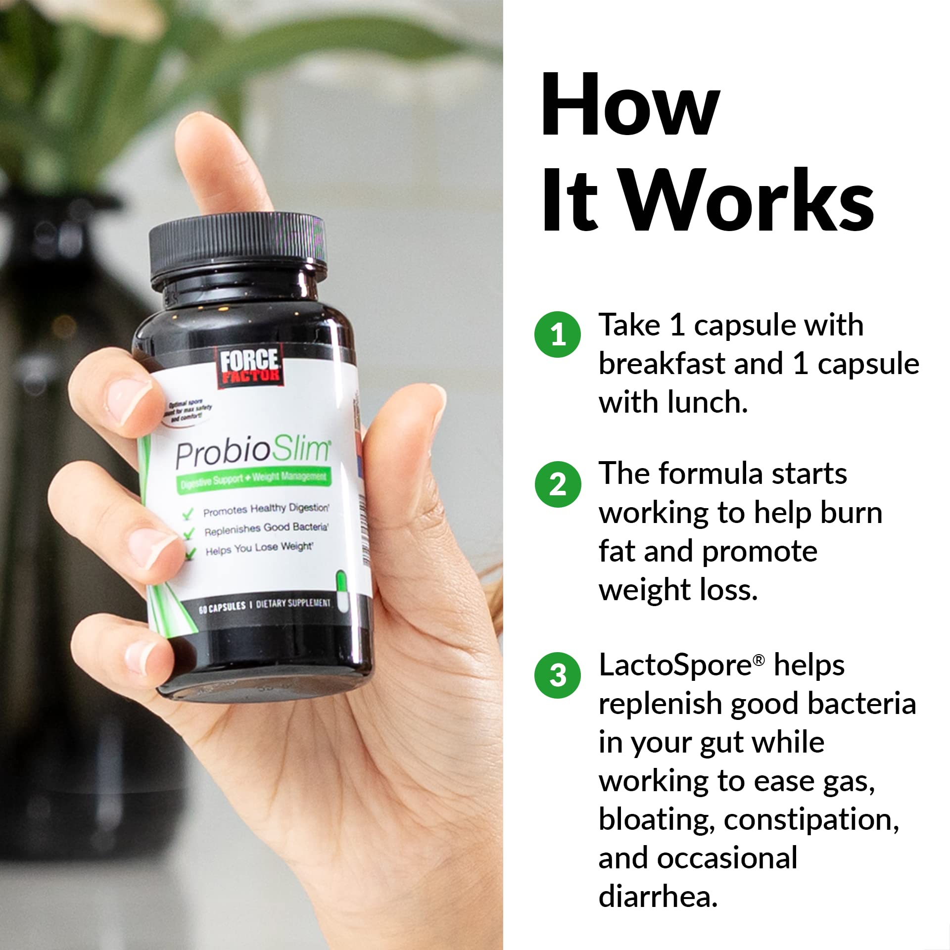 Force Factor ProbioSlim Probiotics for Women and Men, Probiotics for Digestive Health to Reduce Bloating, Gas, & Occasional Diarrhea, with Prebiotics, LactoSpore, & Green Tea for Energy, 60 Capsules - OzHealthStandard