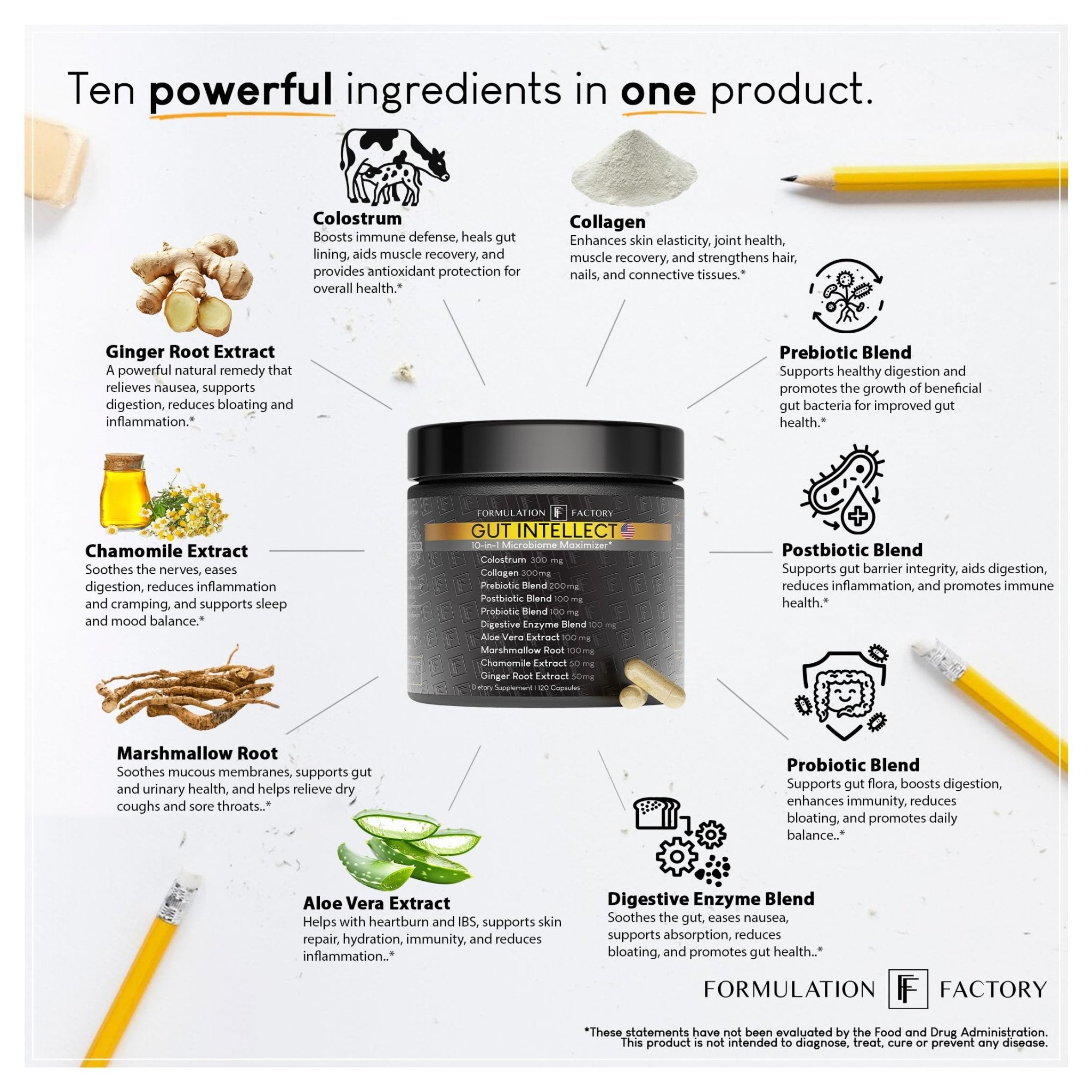 Formulation Factory Probiotics for Women & Men - Gut Intellect 10-in-1 Digestive Enzymes with Prebiotics and Postbiotics - Total Gut Health Supplement - OzHealthStandard