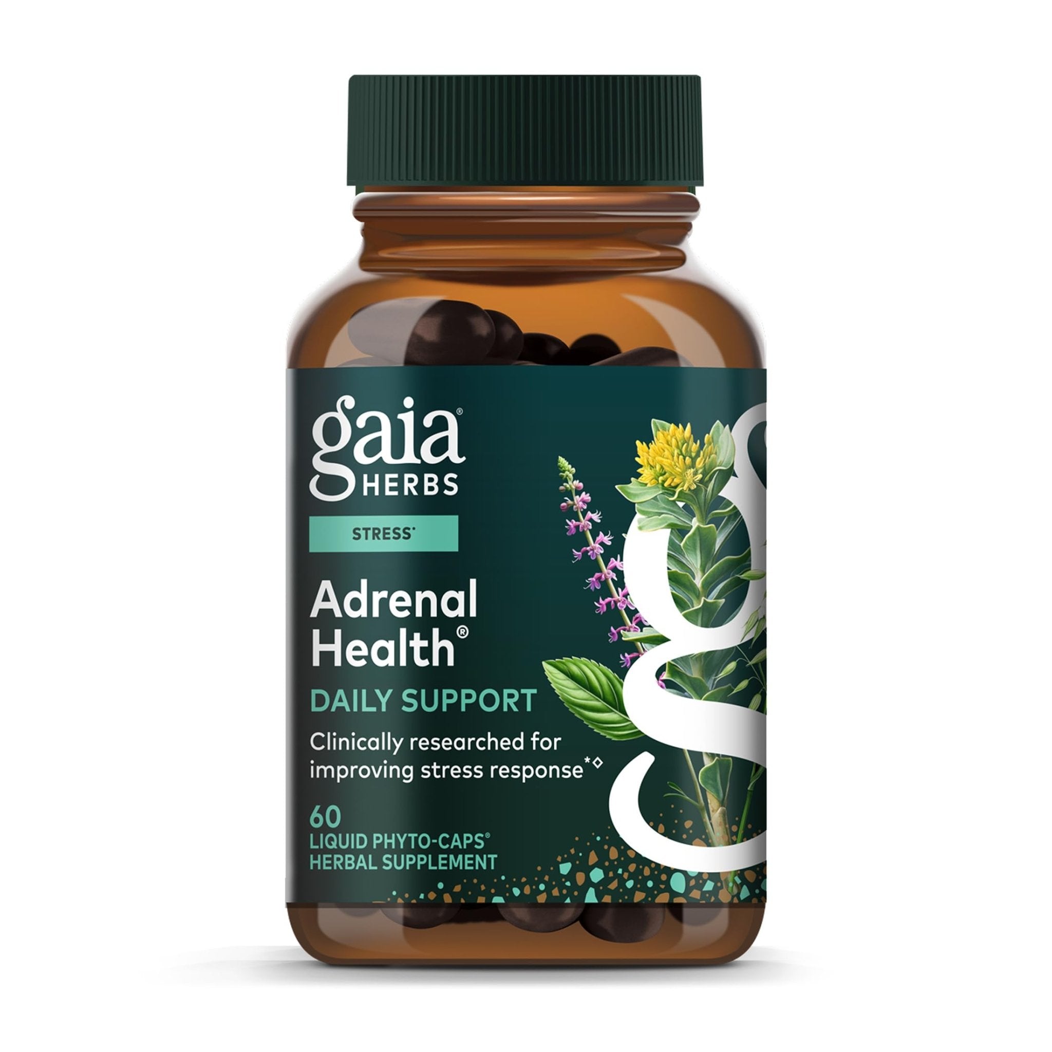 Gaia Herbs Adrenal Health Daily Support - Herbal Supplement with Ashwagandha, Holy Basil & Schisandra - Help Maintain Healthy Energy & Stress Levels* - 60 Vegan Liquid Phyto-Caps (30 Servings) - OzHealthStandard