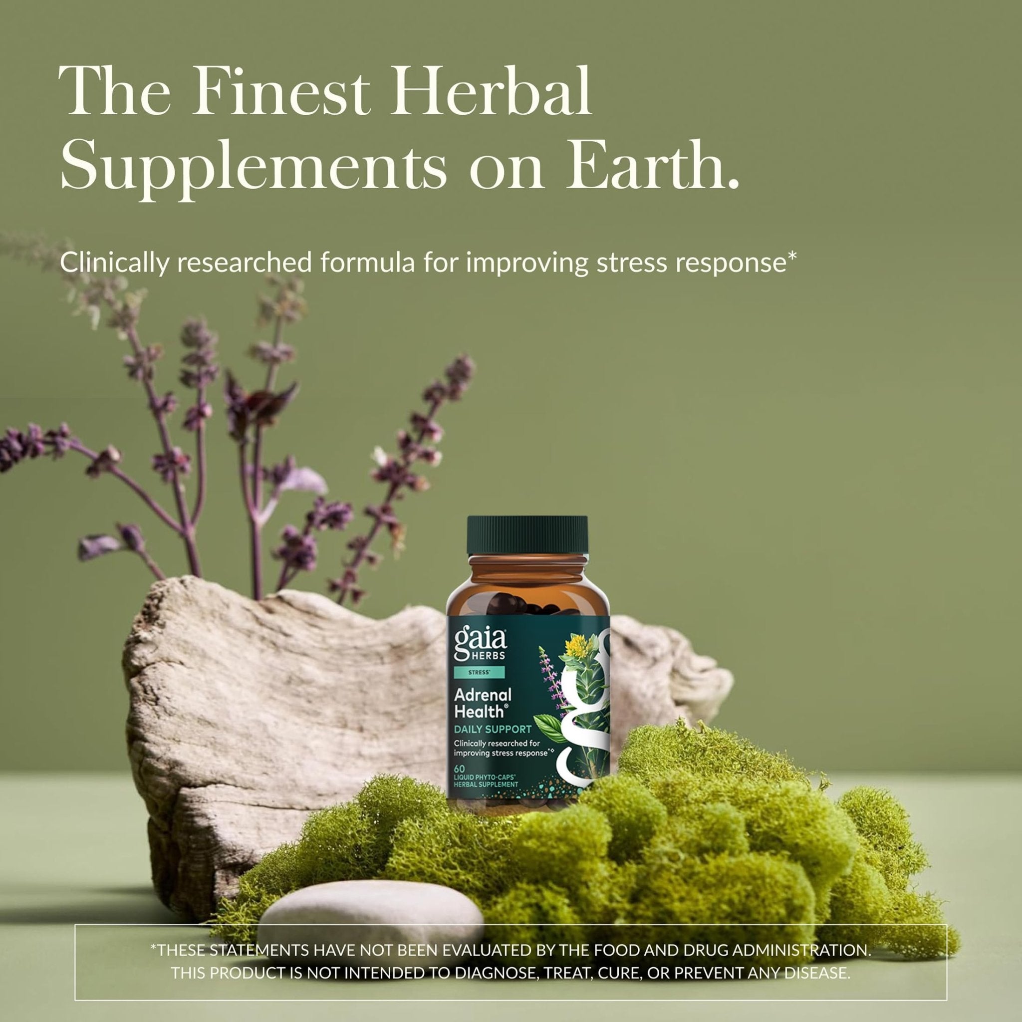 Gaia Herbs Adrenal Health Daily Support - Herbal Supplement with Ashwagandha, Holy Basil & Schisandra - Help Maintain Healthy Energy & Stress Levels* - 60 Vegan Liquid Phyto-Caps (30 Servings) - OzHealthStandard
