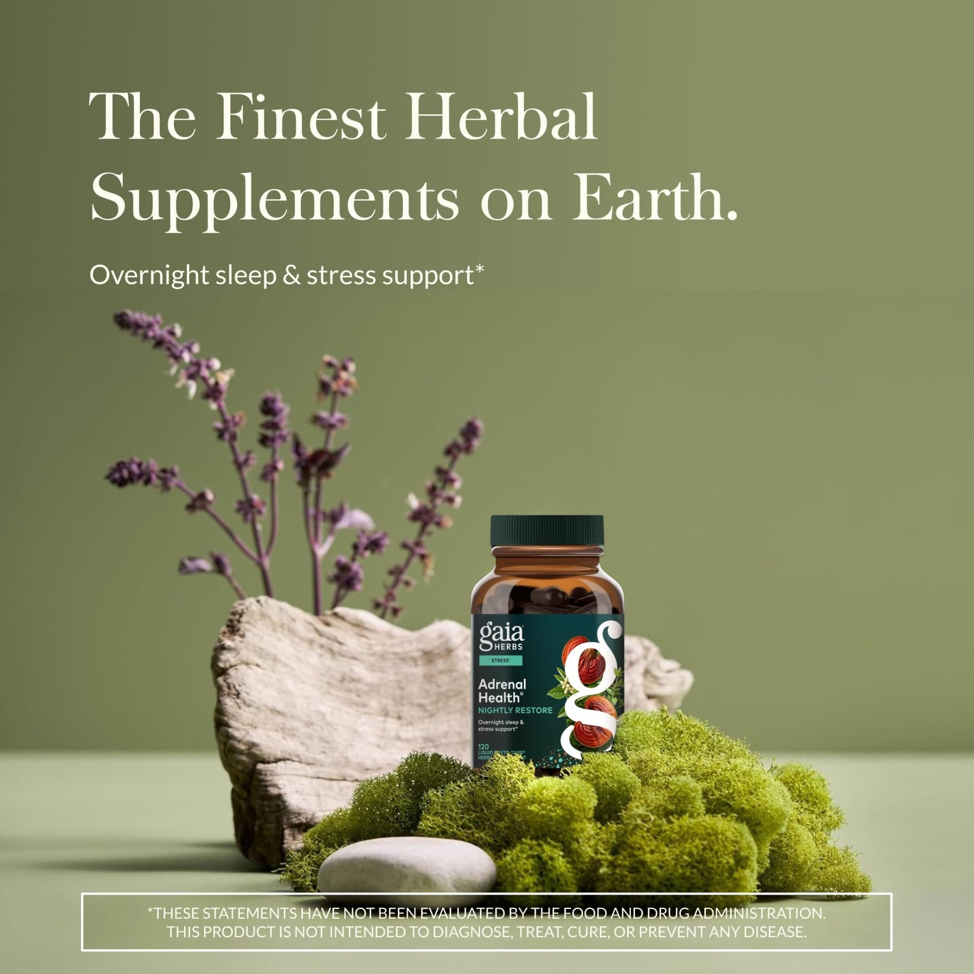 Gaia Herbs Adrenal Health Nightly Restore - Herbal Supplement with Ashwagandha, Magnolia Bark, Cordyceps, Lemon Balm & More* - 60 Vegan Liquid Phyto-Caps (30 Servings) - OzHealthStandard