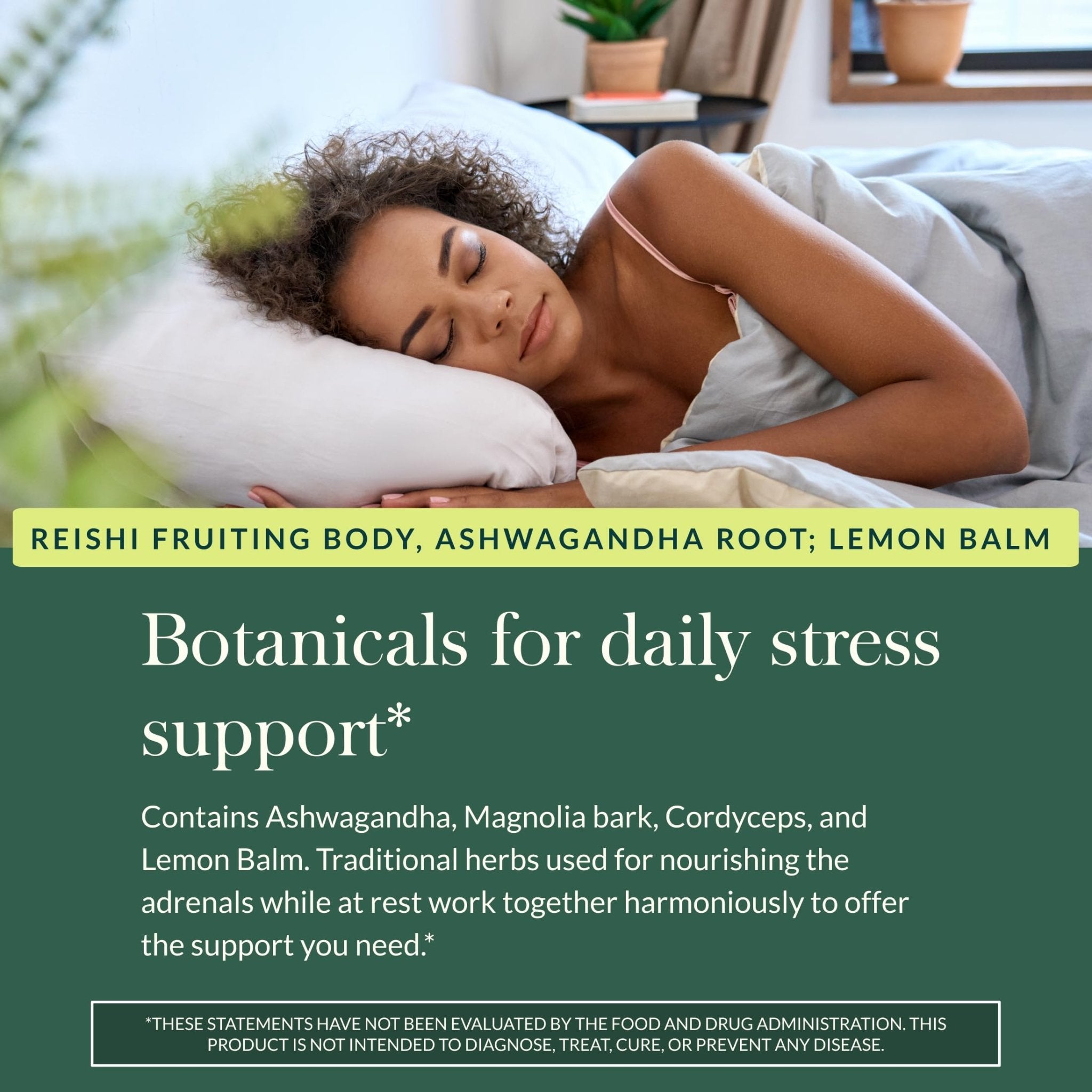 Gaia Herbs Adrenal Health Nightly Restore - Herbal Supplement with Ashwagandha, Magnolia Bark, Cordyceps, Lemon Balm & More* - 60 Vegan Liquid Phyto-Caps (30 Servings) - OzHealthStandard