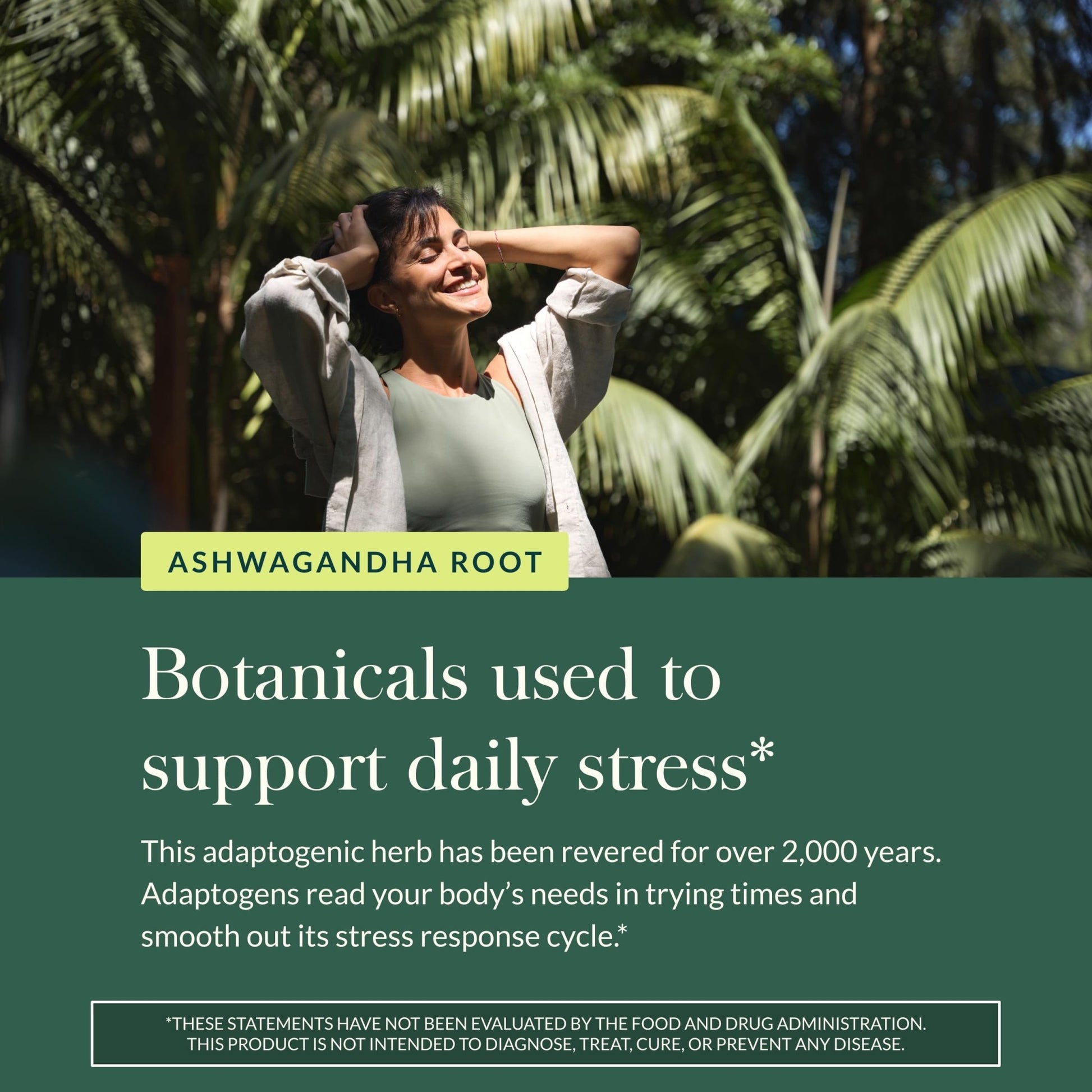 Gaia Herbs Ashwagandha Root - Stress Relief & Sleep Support Supplement - Supports Balanced Energy Levels & Positive Outlook - OzHealthStandard