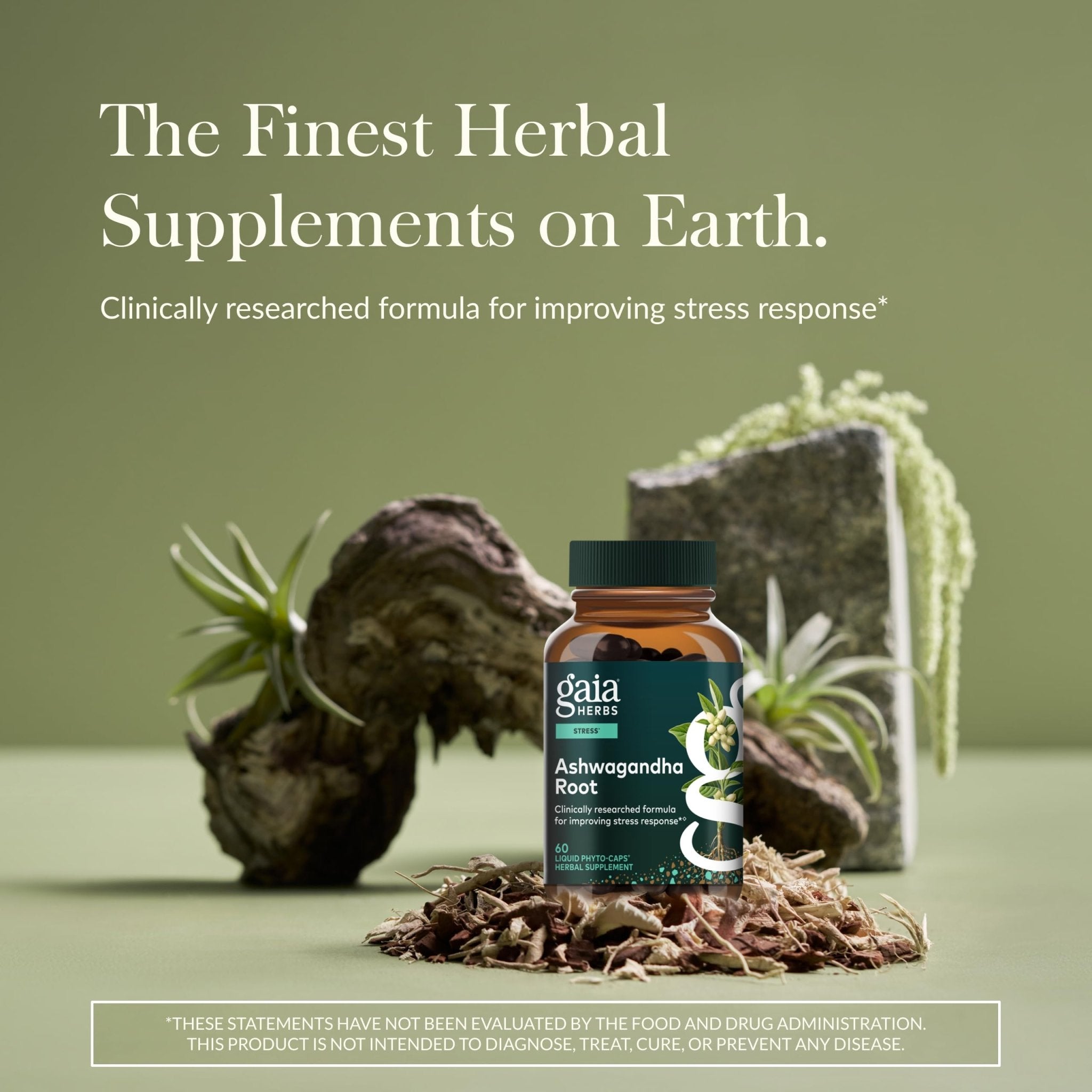 Gaia Herbs Ashwagandha Root - Stress Relief & Sleep Support Supplement - Supports Balanced Energy Levels & Positive Outlook - OzHealthStandard