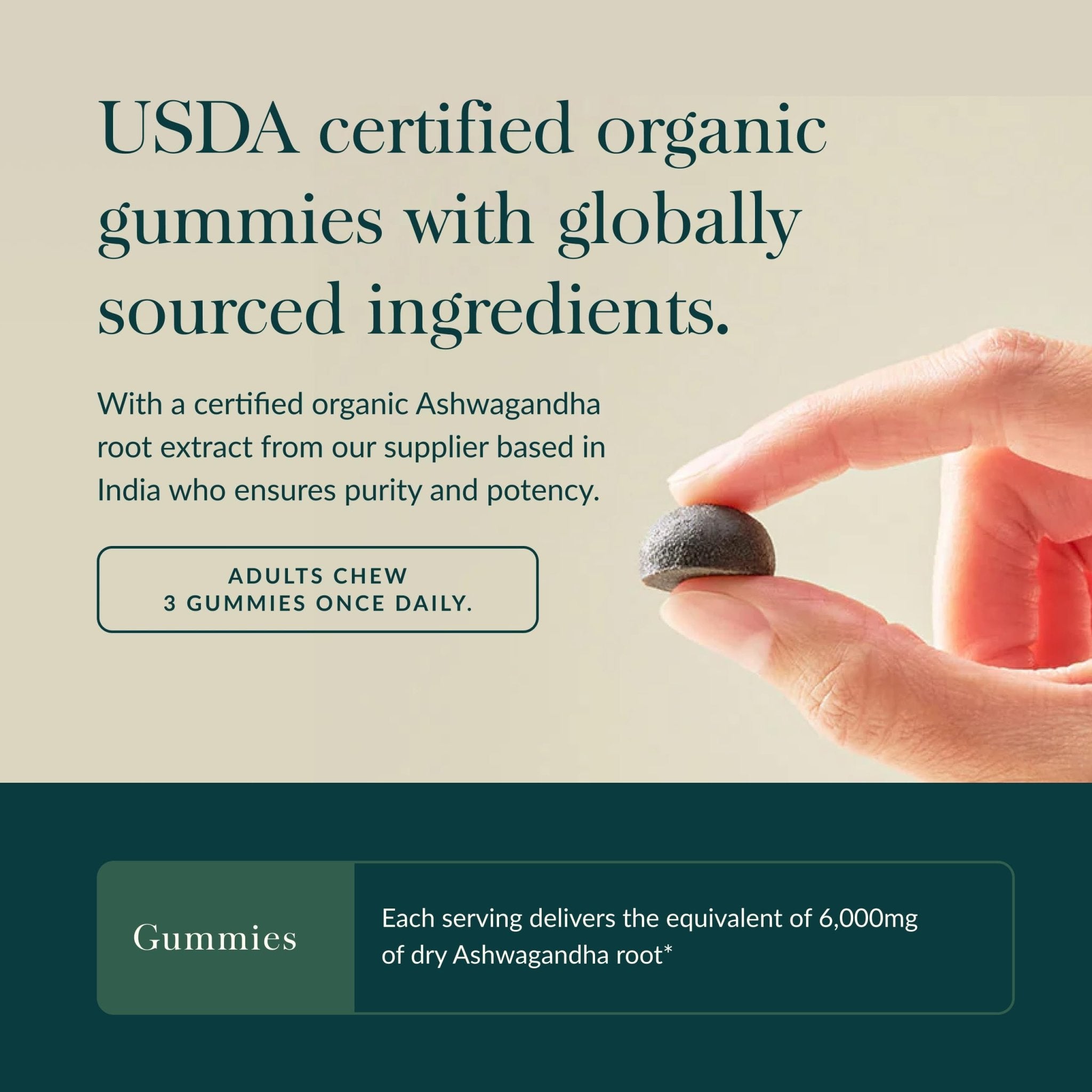 Gaia Herbs Organic Ashwagandha Gummies - Stress Support* - Made with Cinnamon & Ginger - Gluten Free & Vegan - 45 Count (15 Servings) - OzHealthStandard