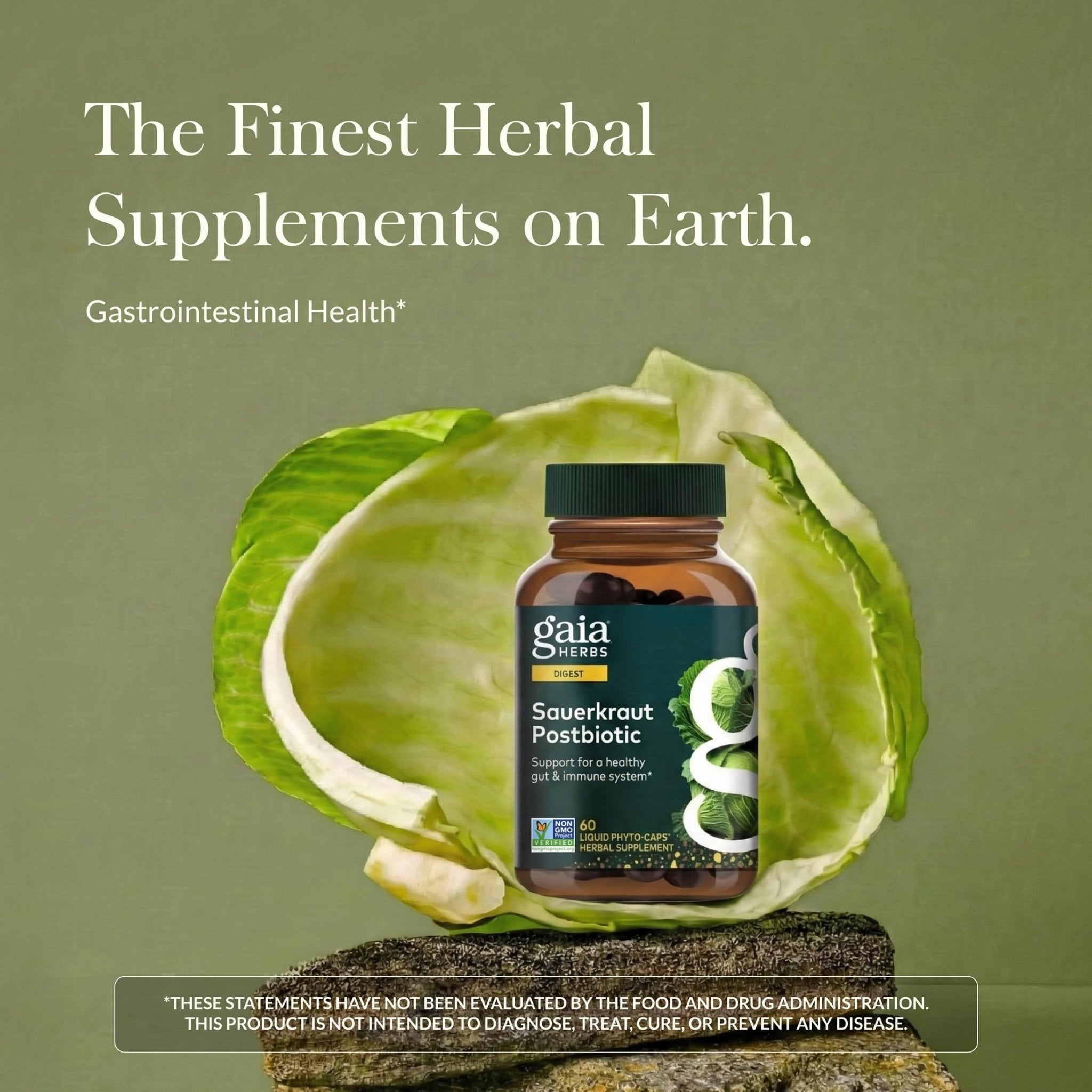 Gaia Herbs Sauerkraut Postbiotic - Gut Health & Immune Support Supplement* - Made with Fermented Sauerkraut - Free from Dairy, Soy & Gluten - 60 Vegan Liquid Phyto-Caps (30 Servings) - OzHealthStandard