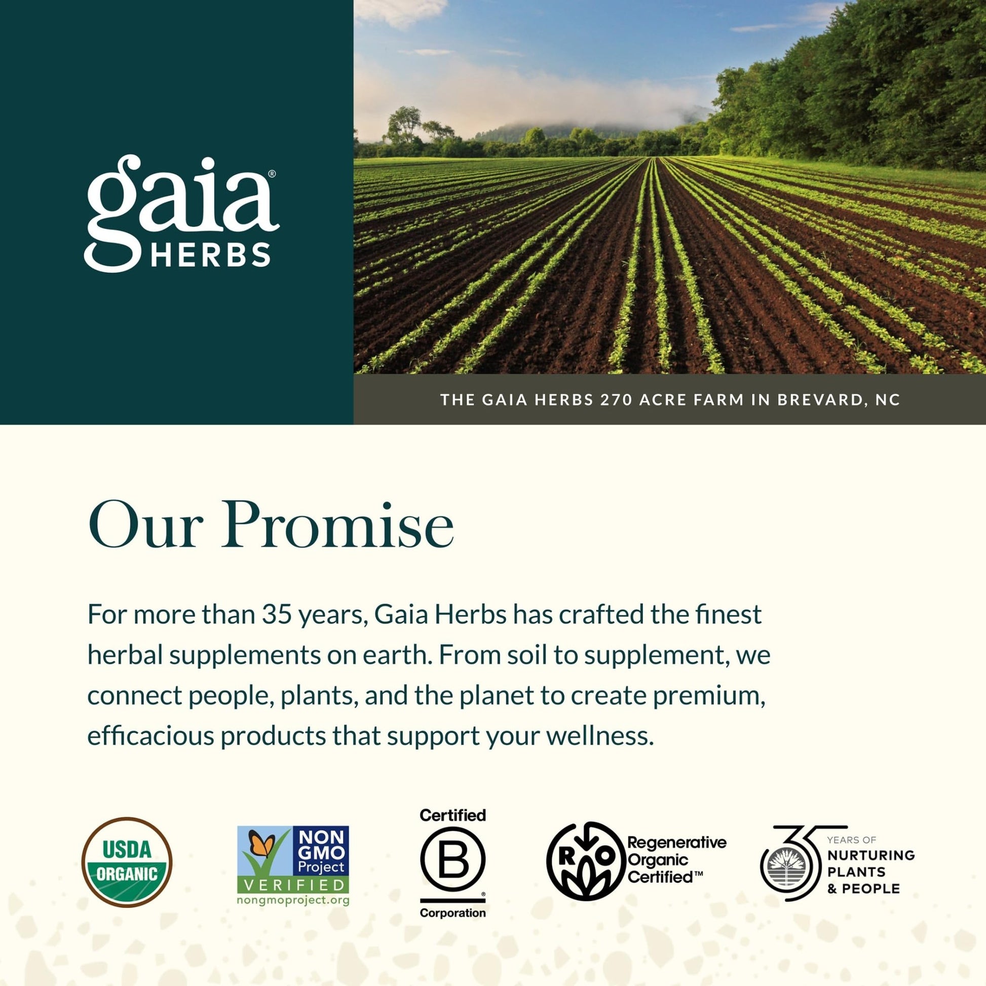 Gaia Herbs Sauerkraut Postbiotic - Gut Health & Immune Support Supplement* - Made with Fermented Sauerkraut - Free from Dairy, Soy & Gluten - 60 Vegan Liquid Phyto-Caps (30 Servings) - OzHealthStandard
