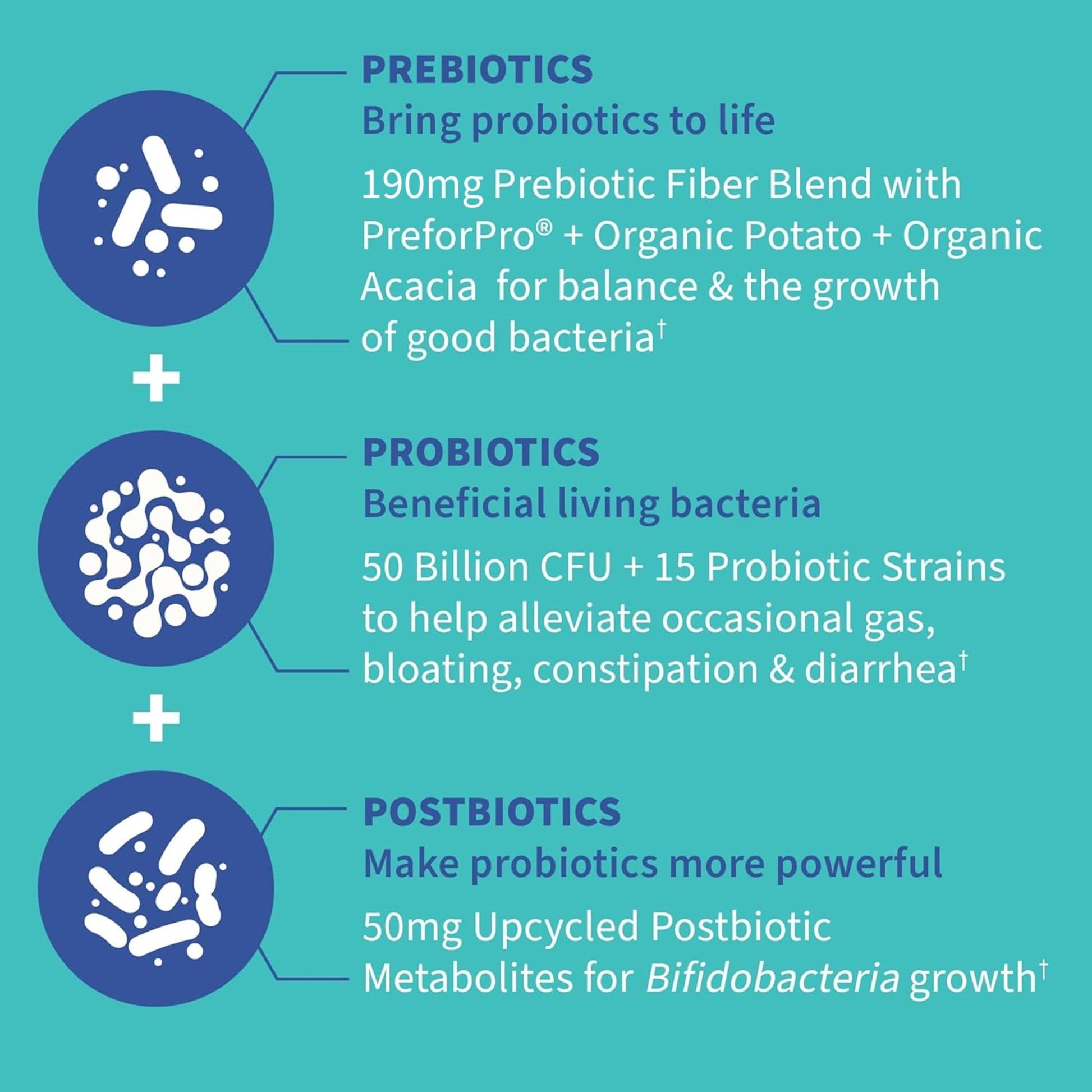 Garden of Life Dr. Formulated Pre, Post & Probiotics Gas & Bloating Once Daily 3-in-1 Complete Prebiotics, Postbiotics & Probiotics – 50 Billion CFU - OzHealthStandard