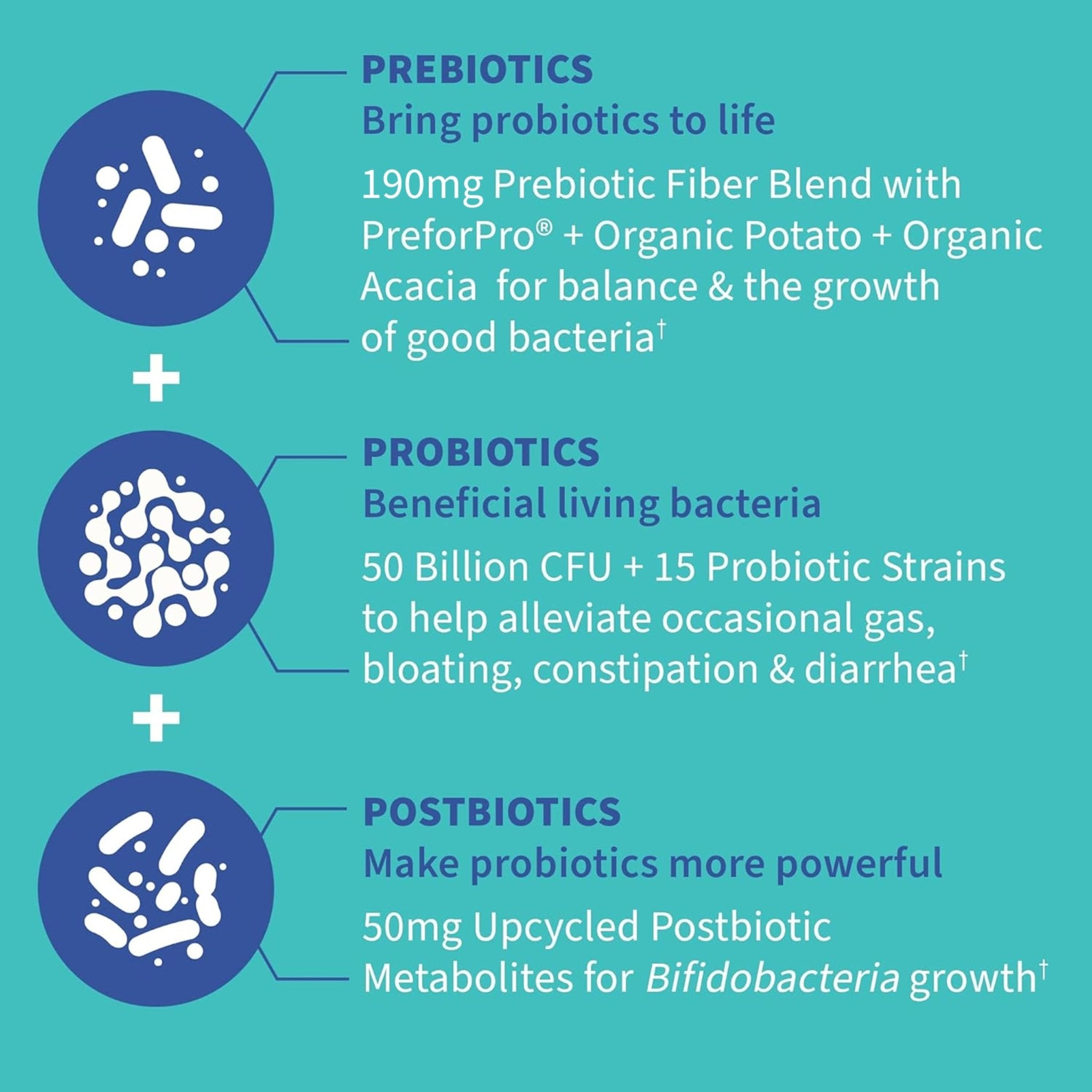 Garden of Life Dr. Formulated Pre, Post & Probiotics Gas & Bloating Once Daily 3-in-1 Complete Prebiotics, Postbiotics & Probiotics – 50 Billion CFU - OzHealthStandard