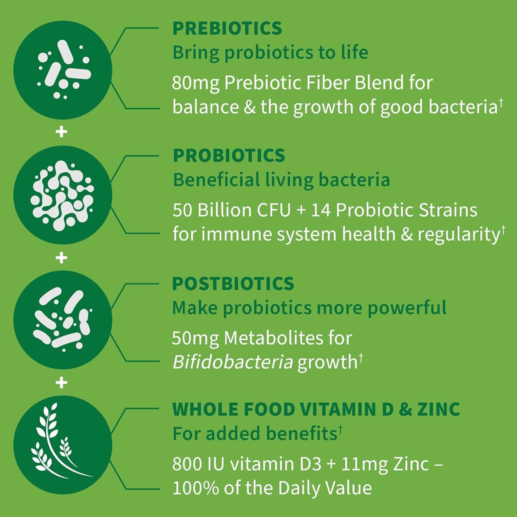 Garden of Life Dr. Formulated Pre, Post & Probiotics Immune Support with Prebiotics & Postbiotics – 50 Billion CFU, Gut & Digestive Health Support, Zinc & Vitamin D3, Vegan, 30 Day Supply - OzHealthStandard