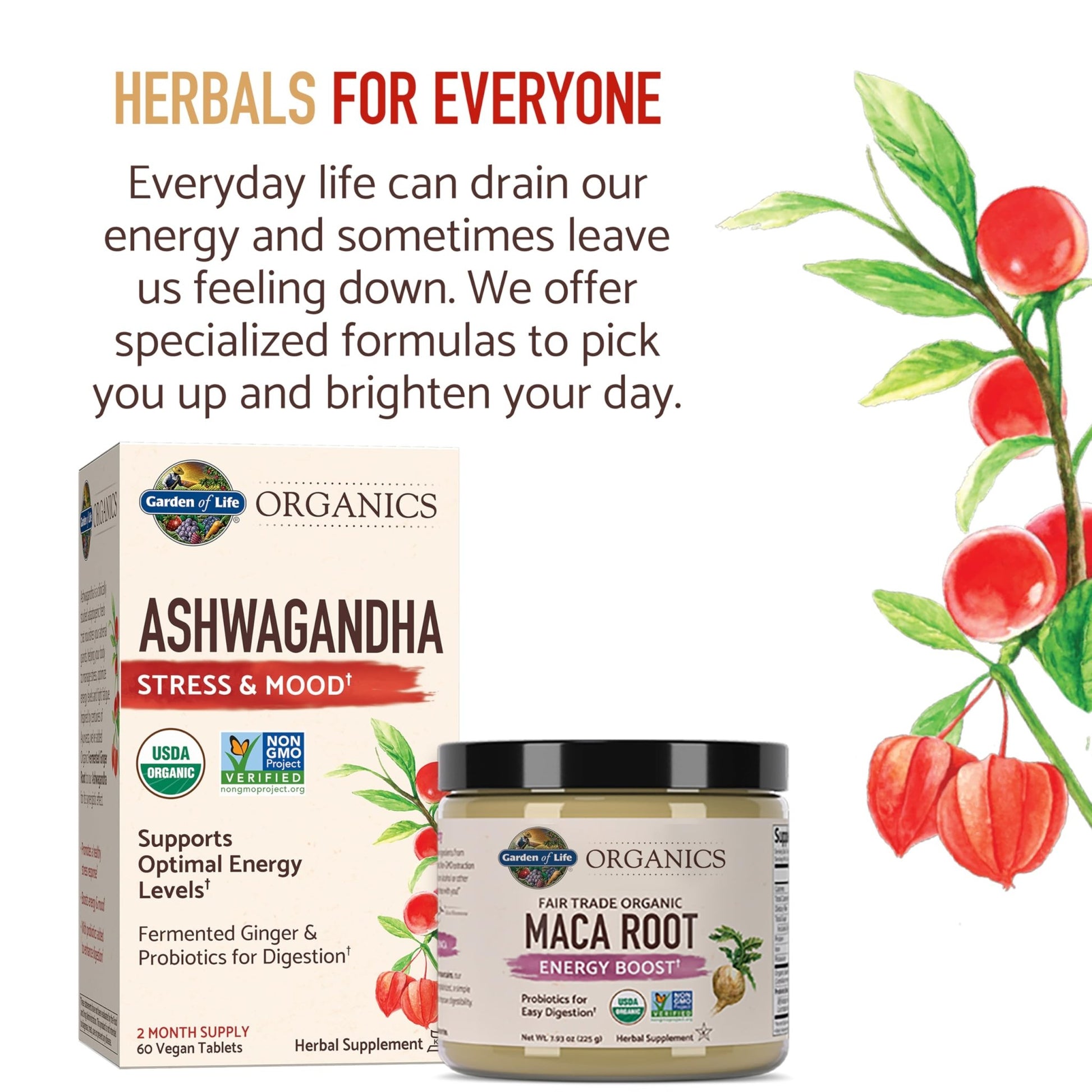 Garden of Life Organic Ashwagandha Supplement with Probiotics & Ginger - Stress, Mood & Energy Support, Vegan, Gluten Free - OzHealthStandard
