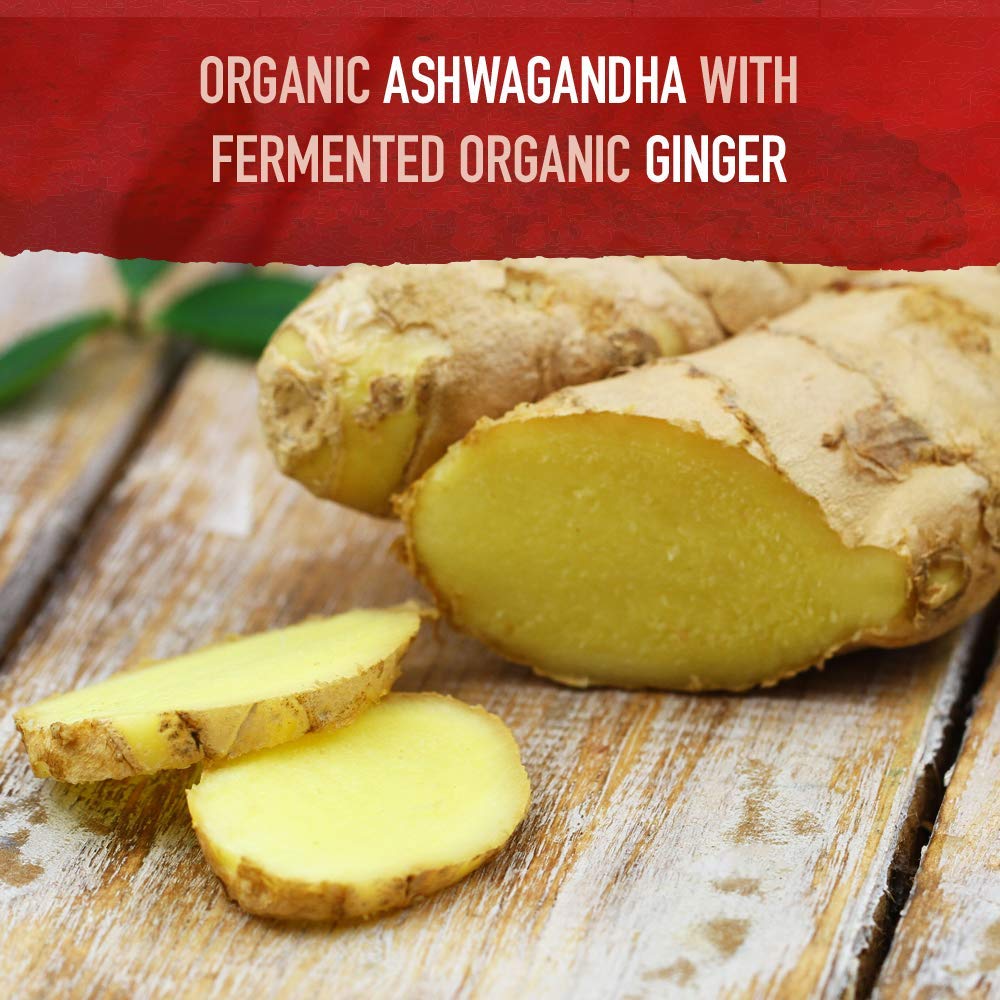 Garden of Life Organic Ashwagandha Supplement with Probiotics & Ginger - Stress, Mood & Energy Support, Vegan, Gluten Free - OzHealthStandard