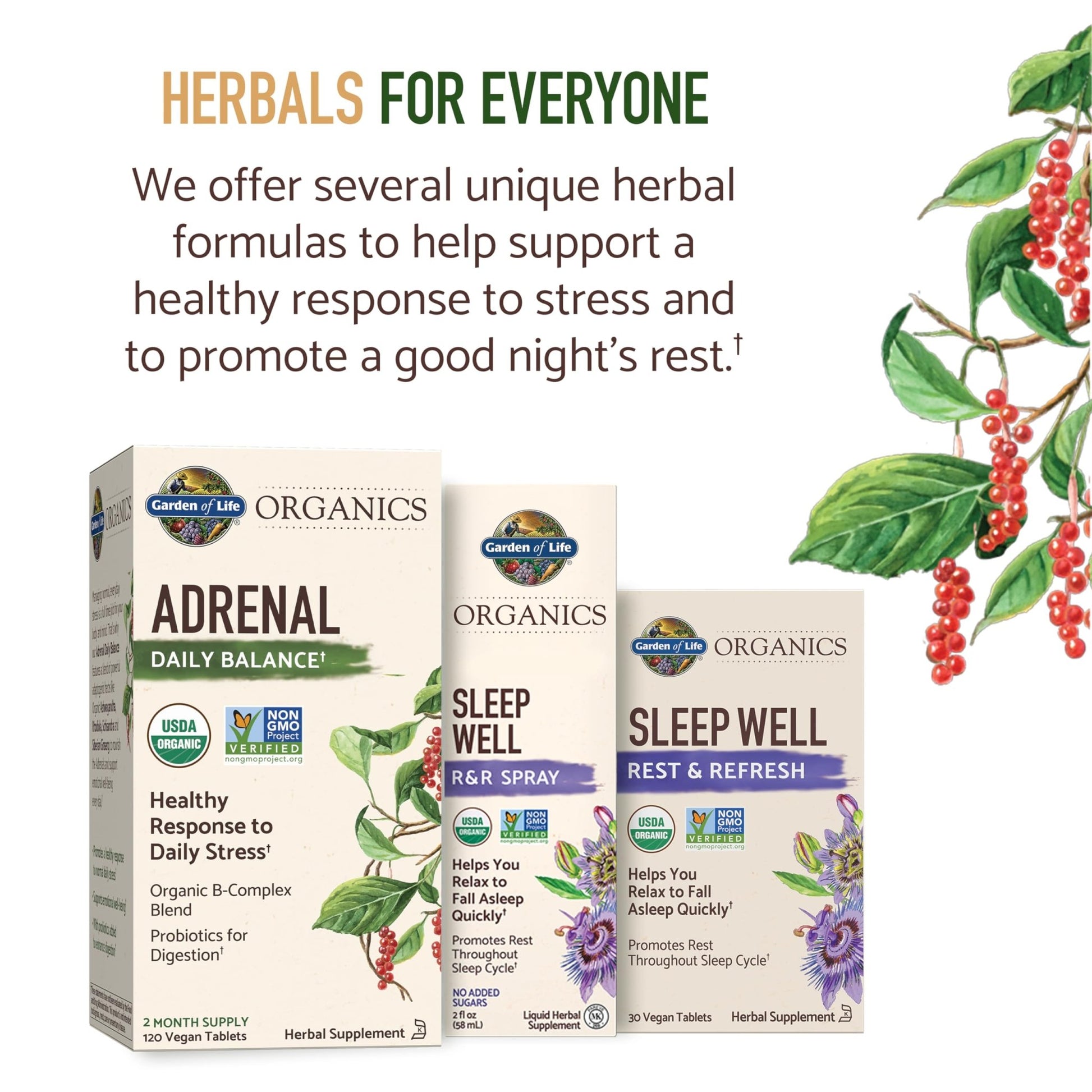 Garden of Life Organics Adrenal Daily Balance, Adaptogenic Herbs Ashwagandha, Holy Basil, B Complex & Probiotics, Organic Non-GMO, Vegan, Gluten Free Supplement, Two Month Supply, 120 Tablets - OzHealthStandard
