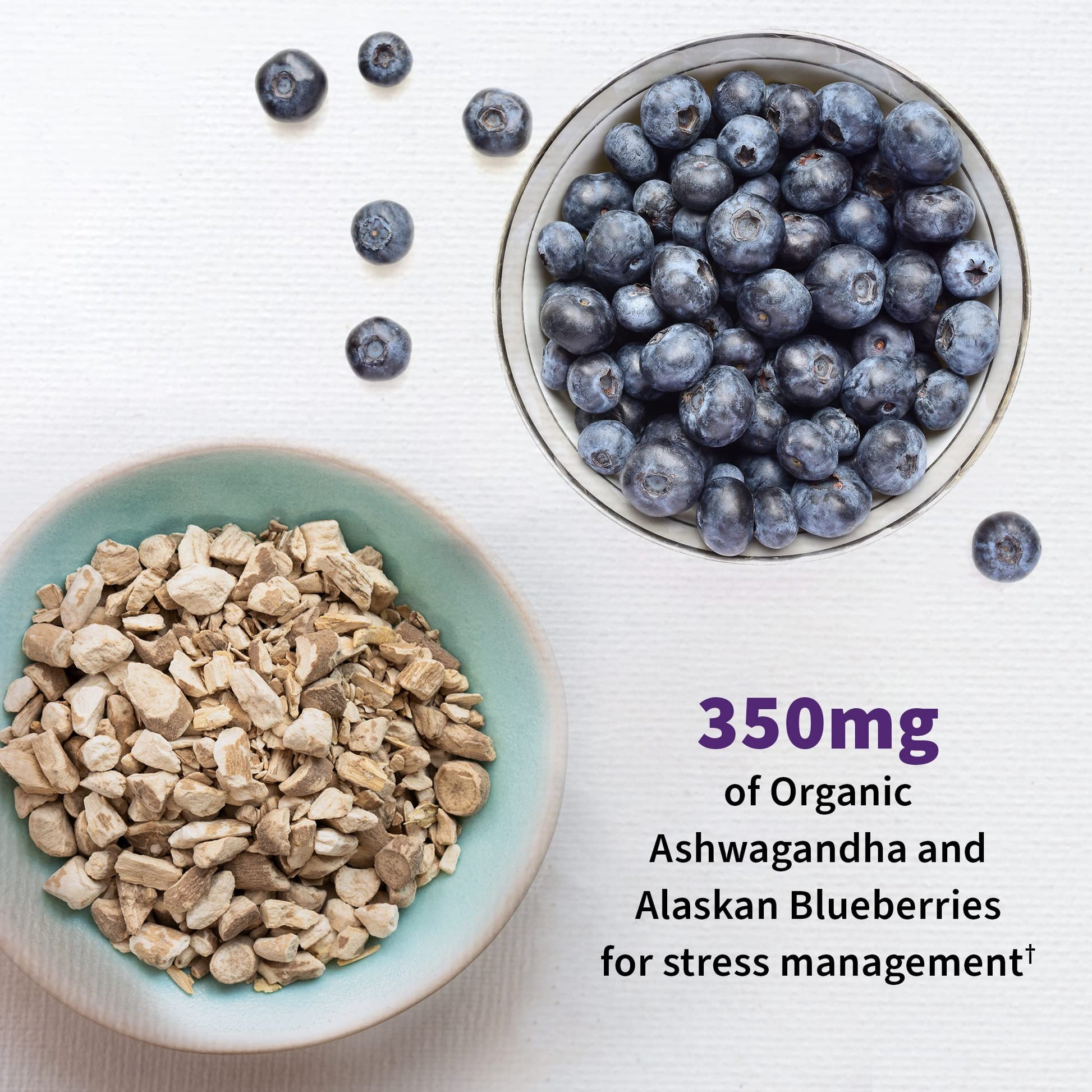 Garden of Life Probiotics Mood+ Dr Formulated Acidophilus Probiotic Supplement - Promotes Emotional Well-Being, Relaxation and Digestive Balance - Ashwagandha for Stress Management, 60 Veggie Caps - OzHealthStandard