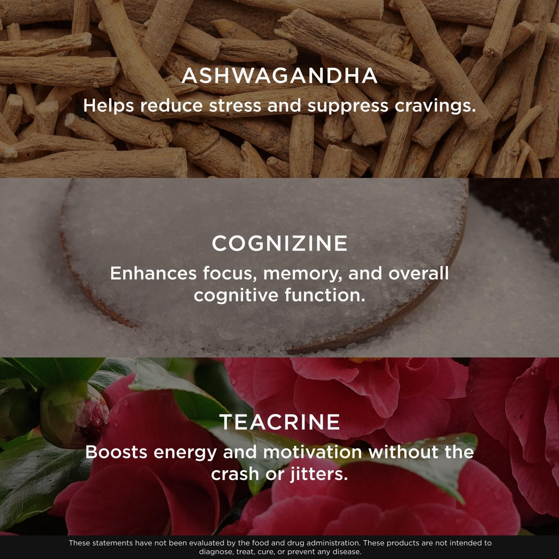 Genius Thermogenic Fat Burner, 60 Diet Veggie Pills - Weight Loss & Metabolism Supplement, Appetite Suppressant & Energy Booster - Caffeine-Free Nootropic Focus & Brain Boost - Ashwagandha & TeaCrine - OzHealthStandard