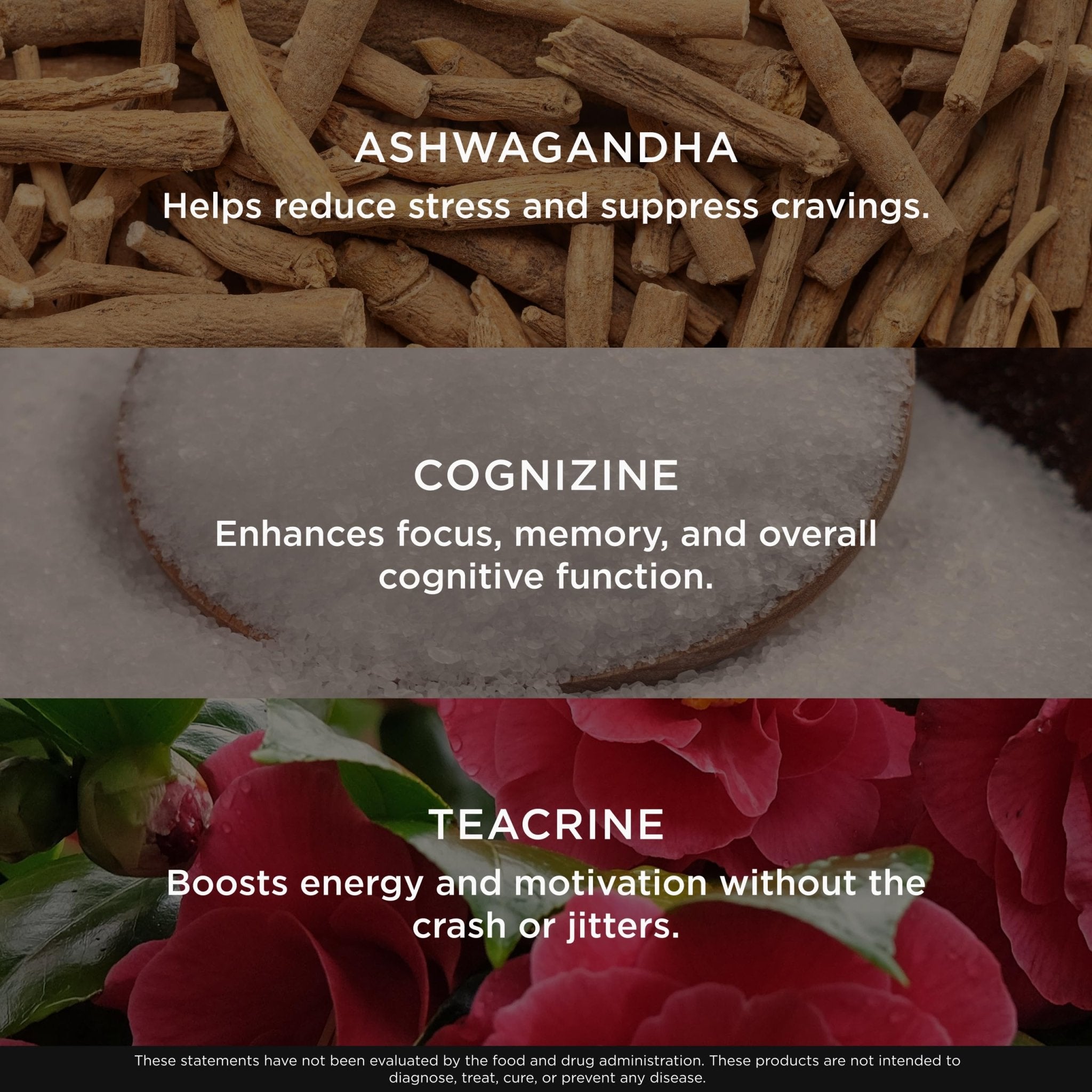 Genius Thermogenic Fat Burner, 60 Diet Veggie Pills - Weight Loss & Metabolism Supplement, Appetite Suppressant & Energy Booster - Caffeine-Free Nootropic Focus & Brain Boost - Ashwagandha & TeaCrine - OzHealthStandard