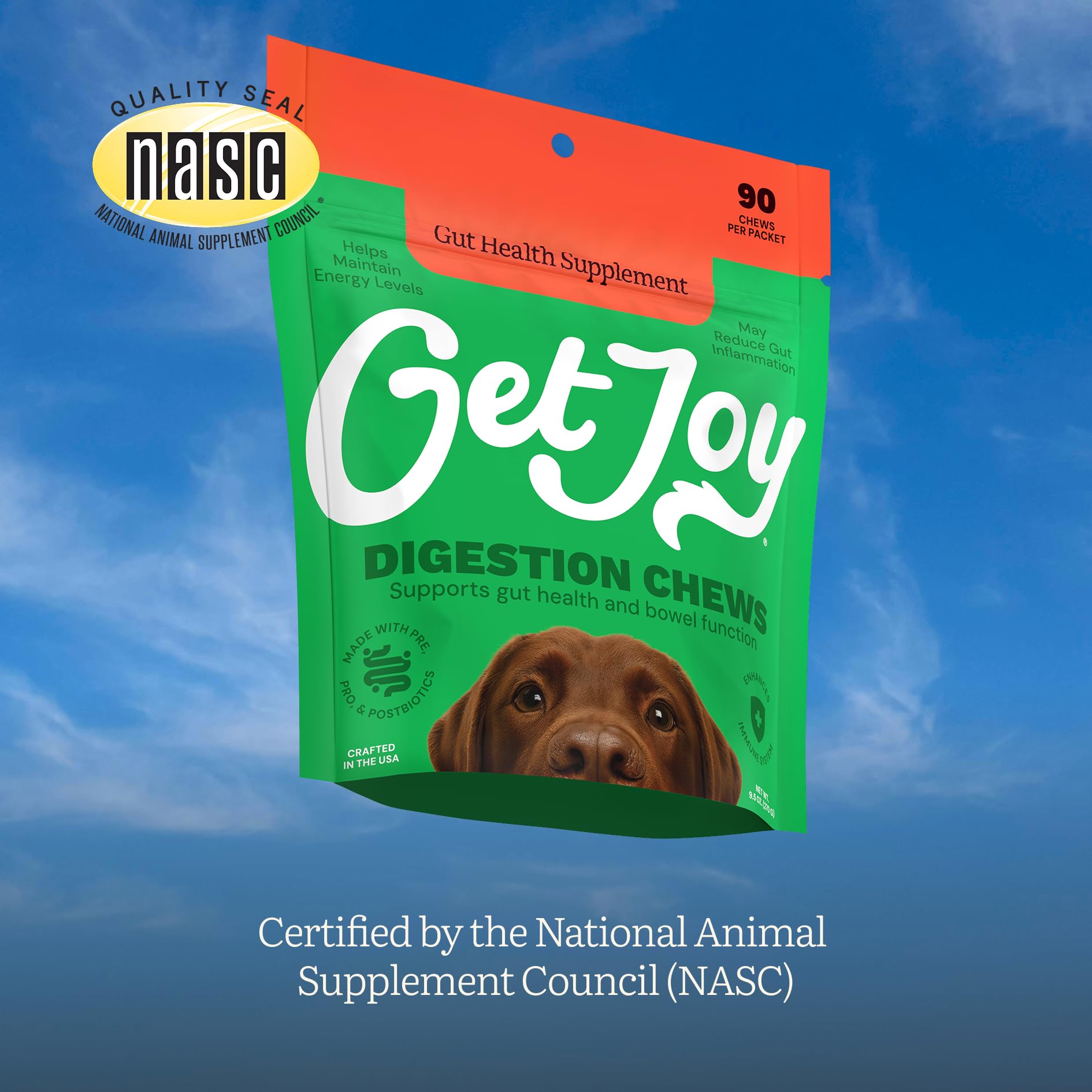 Get Joy Digestion Chews, Gut Health Supplement for Dogs, Vet Recommended Soft Daily Digestive Health & Immune Support with Prebiotics, Probiotics & Postbiotics, Made in USA, 90 Count - OzHealthStandard