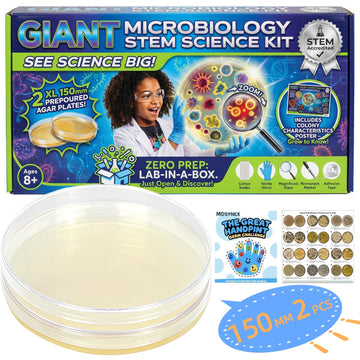 Giant Microbiology Bacteria Science Kit for Kids:2 XL 150mm Prepoured Nutrient Agar Plates, Petri Dishes with Agar & Colony Characteristics Poster for School Projects & Educational Gifts - OzHealthStandard