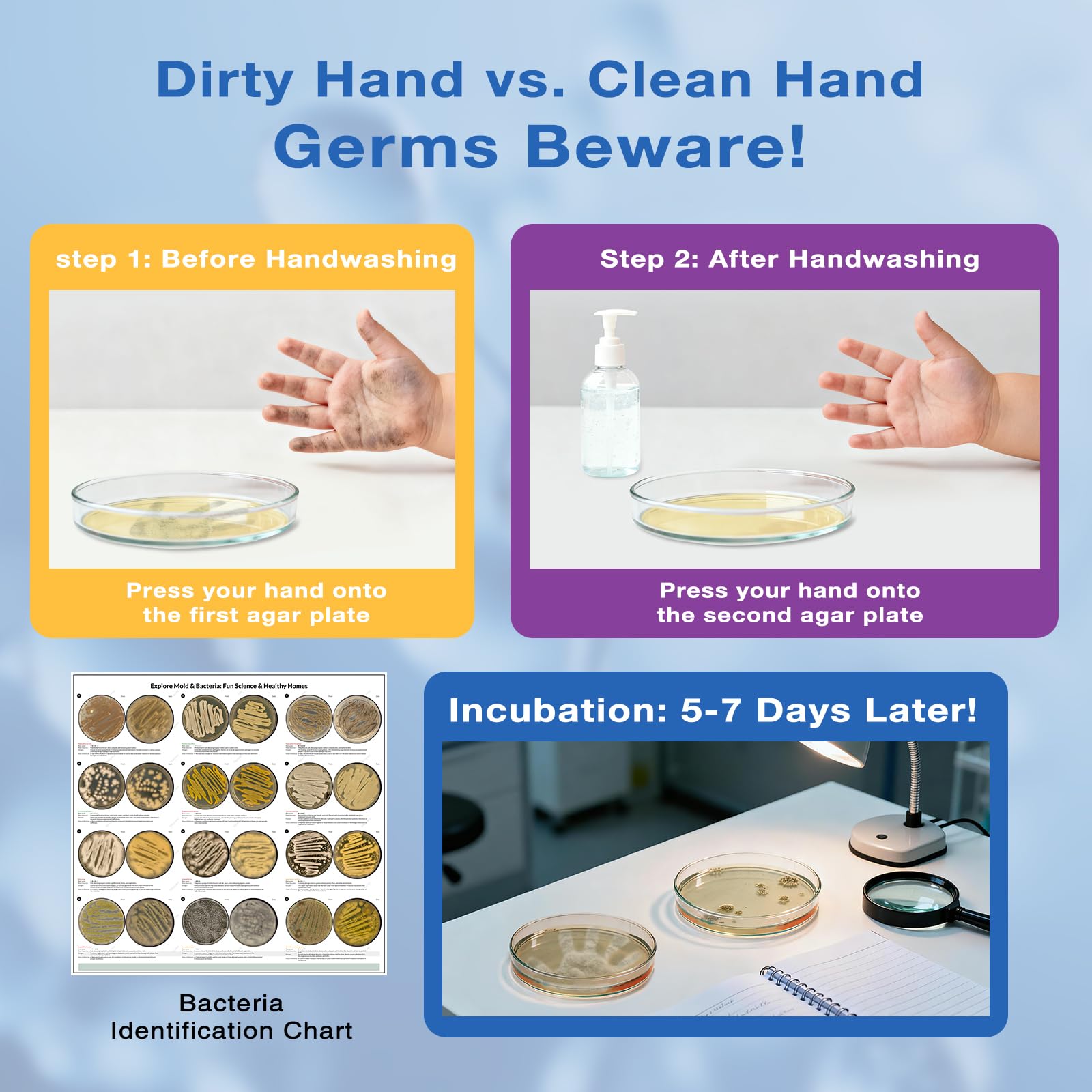 Giant Microbiology Bacteria Science Kit for Kids:2 XL 150mm Prepoured Nutrient Agar Plates, Petri Dishes with Agar & Colony Characteristics Poster for School Projects & Educational Gifts - OzHealthStandard
