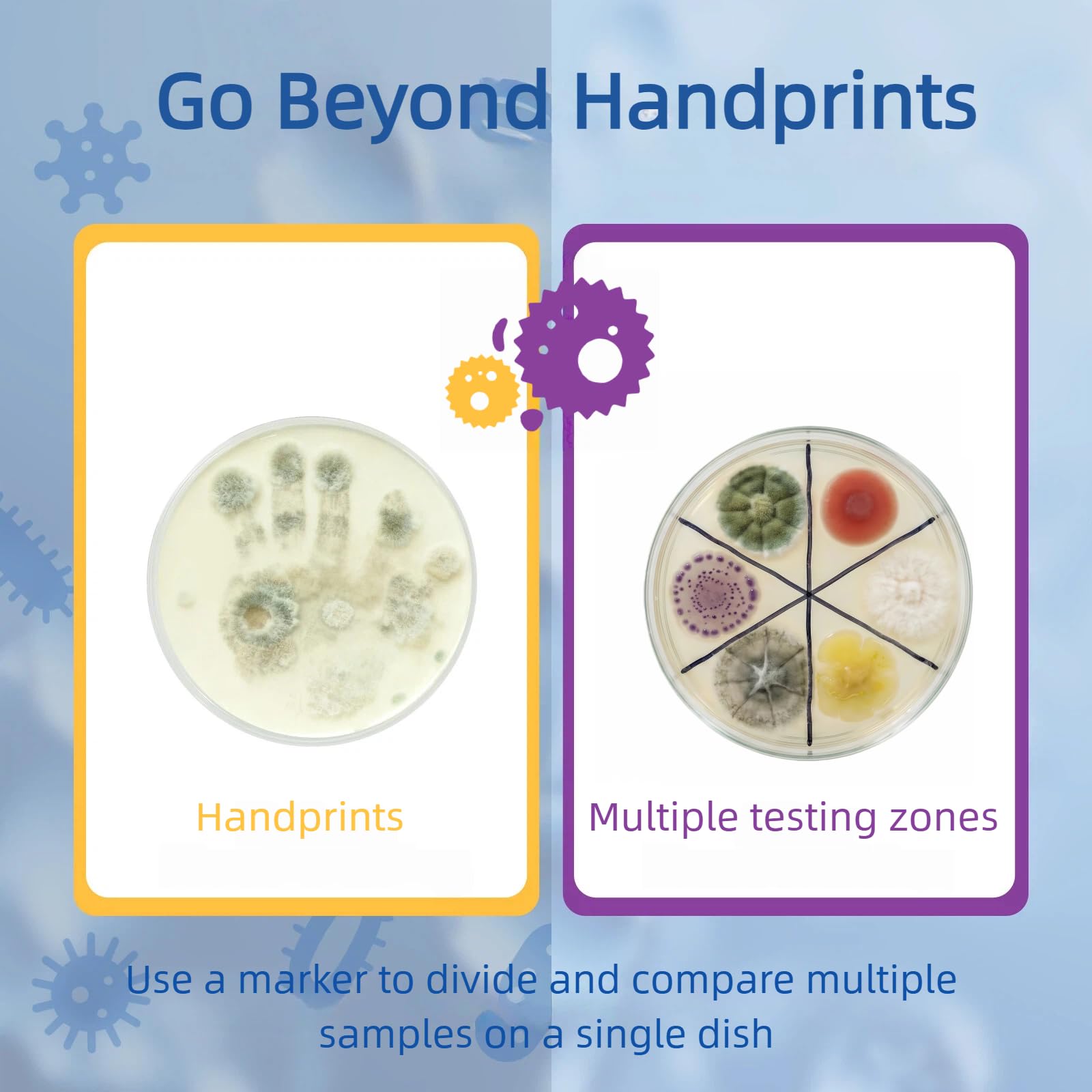 Giant Microbiology Bacteria Science Kit for Kids:2 XL 150mm Prepoured Nutrient Agar Plates, Petri Dishes with Agar & Colony Characteristics Poster for School Projects & Educational Gifts - OzHealthStandard