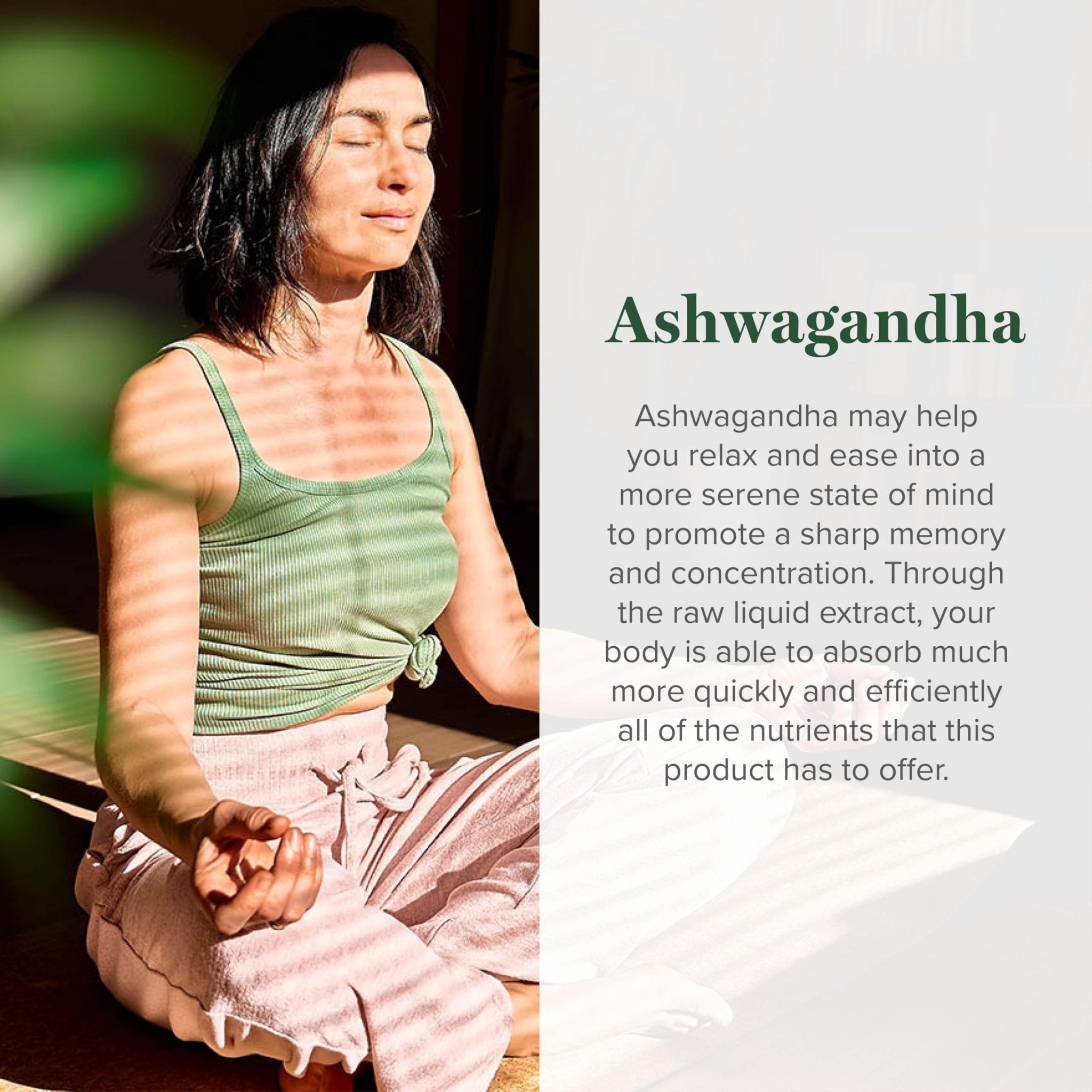 Global Healing Center - Organic Ashwagandha Supplements Drops - KSM-66 Ashwagandha Extra Strength for Men & Women, Helps Promote Relief from Stress, Mood Support, Organic (2 Fl Oz) - OzHealthStandard