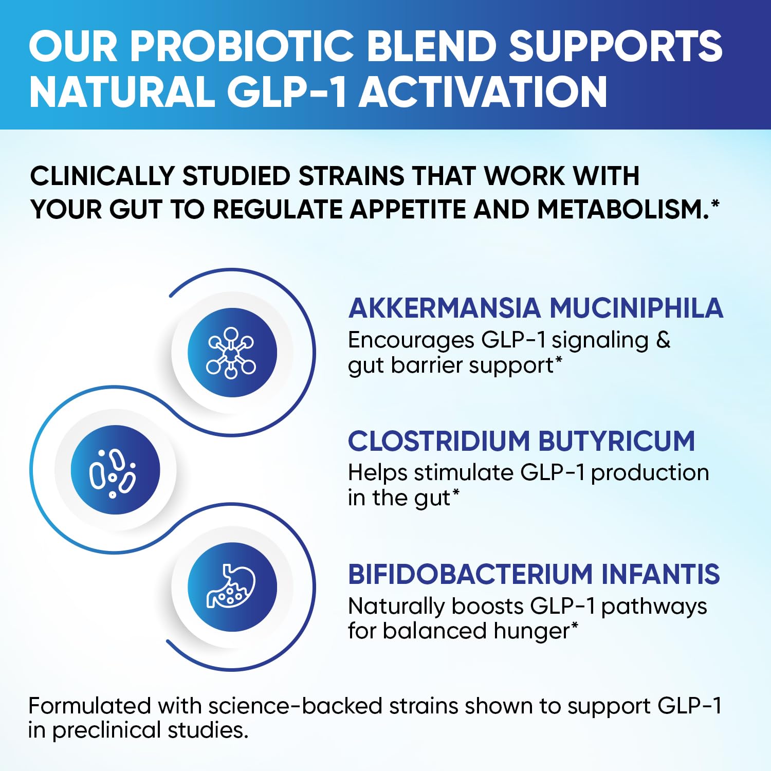 GLP-1 XLR8 Supplement for Weight Loss, Digestion, Constipation, Bloating Relief with Akkermansia 2.6 Billion AFU Live Prebiotic Probiotic Postbiotic Gut Health + Berberine for Women Men 60 Capsules - OzHealthStandard