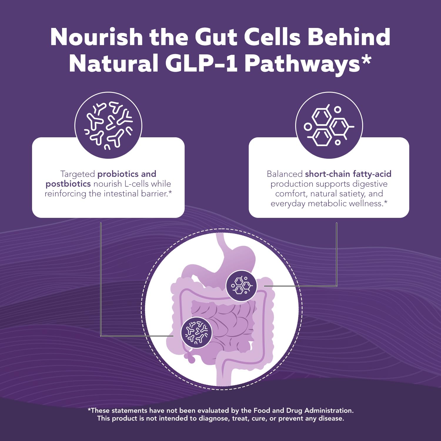 GLP-Pro™: Probiotic & Postbiotic Blend for Natural GLP-1 Support — Akkermansia MucT™, ButyraGen® Butyrate Generator & Spore Bacillus — Healthy Appetite, SCFA & Metabolic Balance — 30 Count - OzHealthStandard