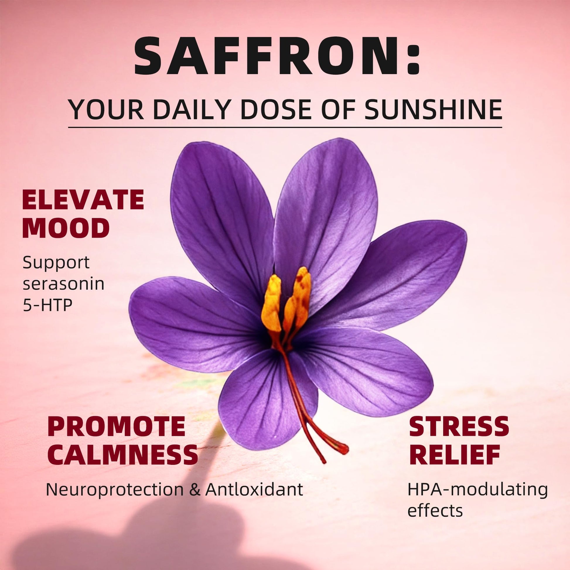 GREENPEOPLE Saffron Extract Supplements Drop - 24-in-1 88.5mg Saffron Extract with Ashwagandha,Black Cohosh & Lion's Mane for Mood&Focus,Stress Relief,Cortisol Reducer,Menopause – Vegan 2FL OZ - OzHealthStandard