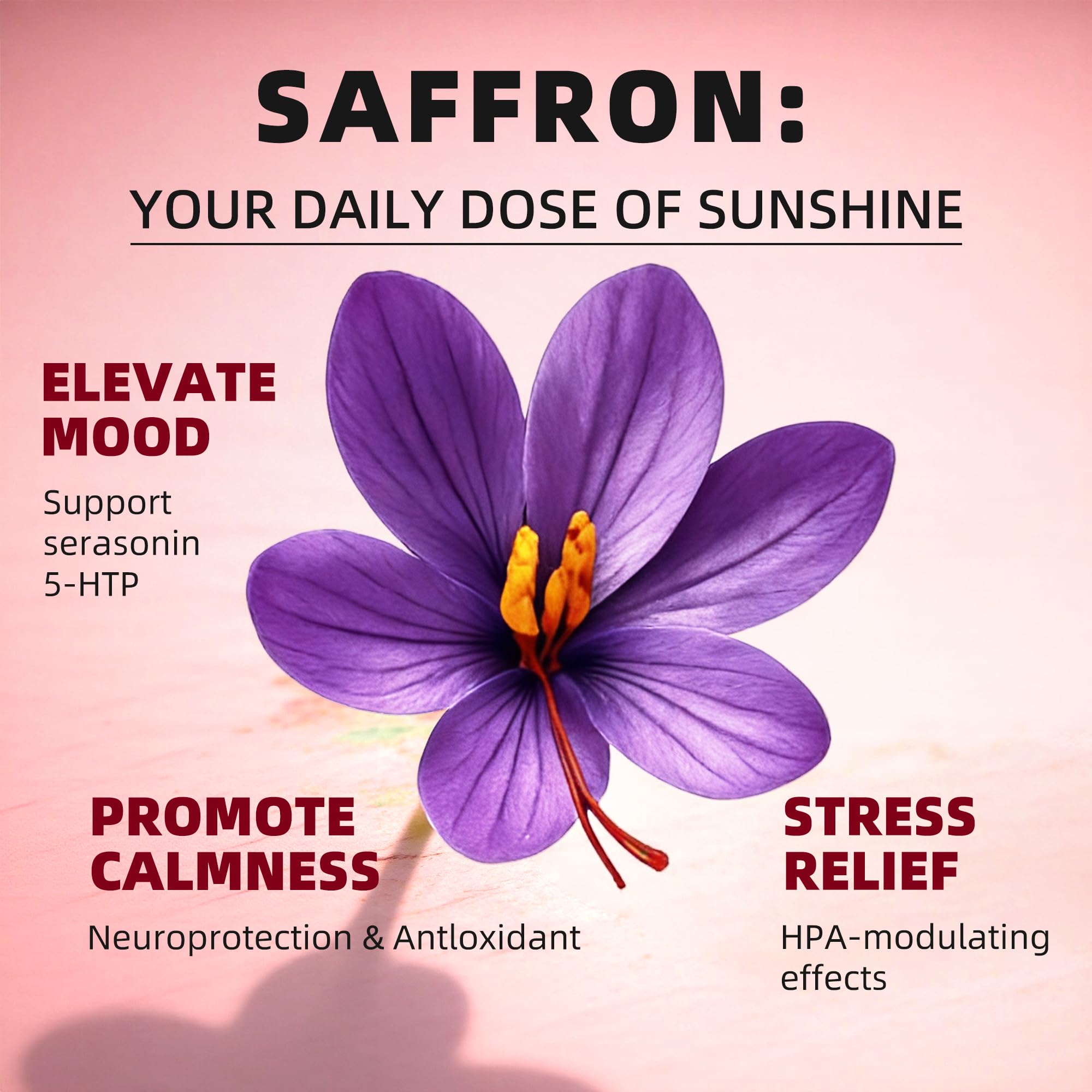 GREENPEOPLE Saffron Extract Supplements Drop - 24-in-1 88.5mg Saffron Extract with Ashwagandha,Black Cohosh & Lion's Mane for Mood&Focus,Stress Relief,Cortisol Reducer,Menopause – Vegan 2FL OZ - OzHealthStandard