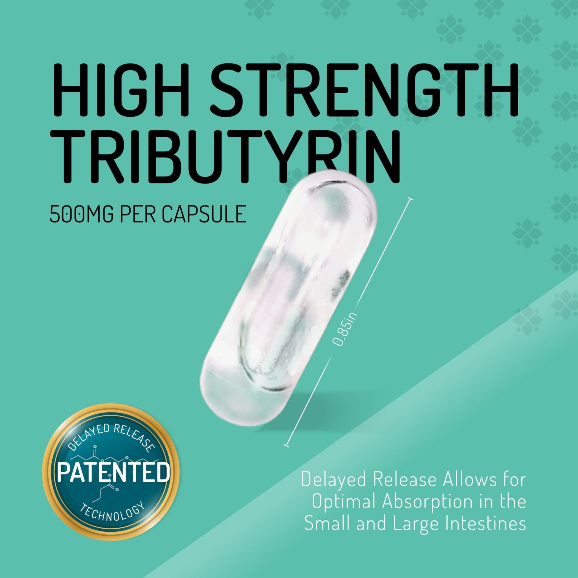 Healus Complete Biotic - Postbiotic Tributyrin Supplement - Postbiotics for Gut Health - Butyrate Gut Health Supplement - OzHealthStandard