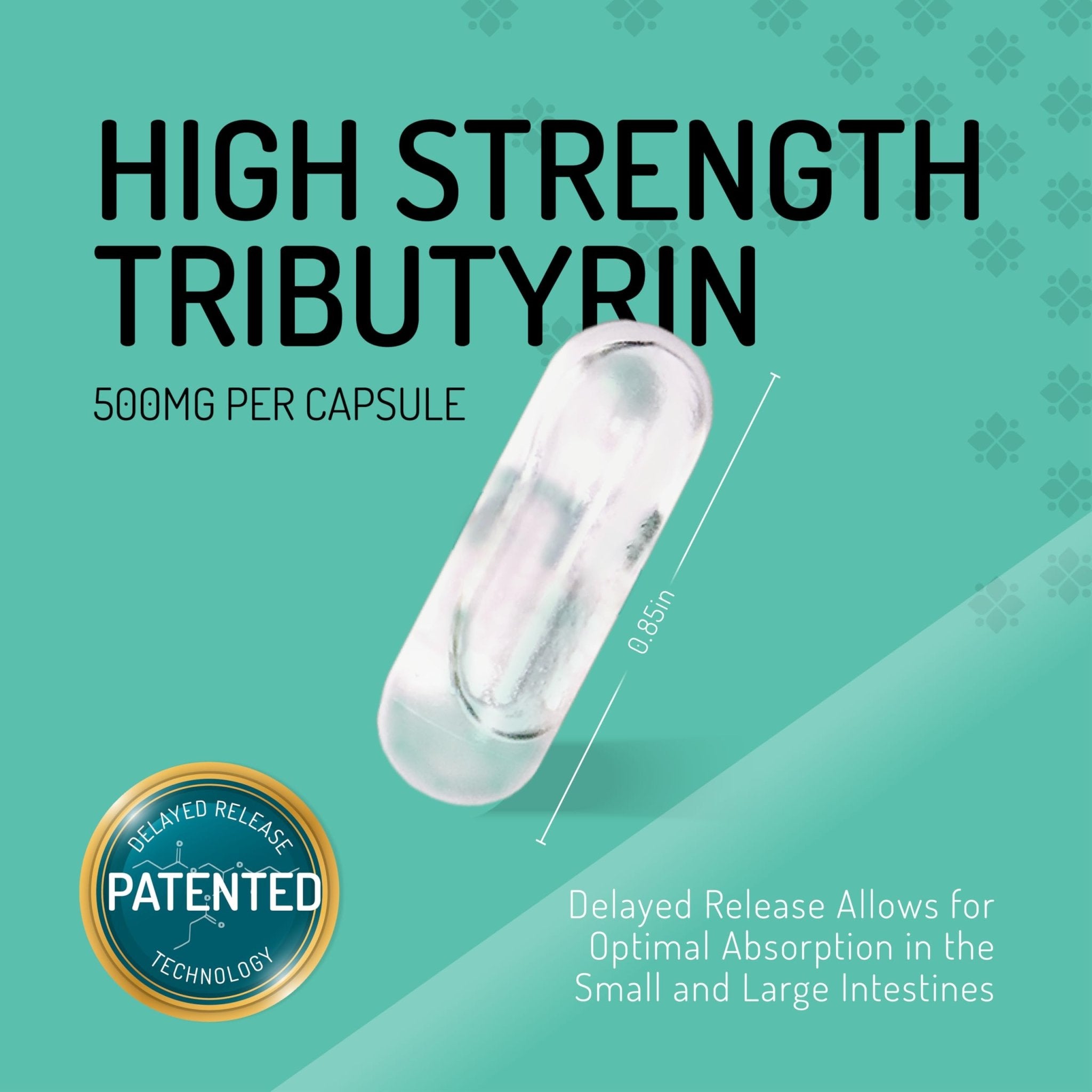 Healus Complete Biotic - Postbiotic Tributyrin Supplement - Postbiotics for Gut Health - Butyrate Gut Health Supplement - OzHealthStandard