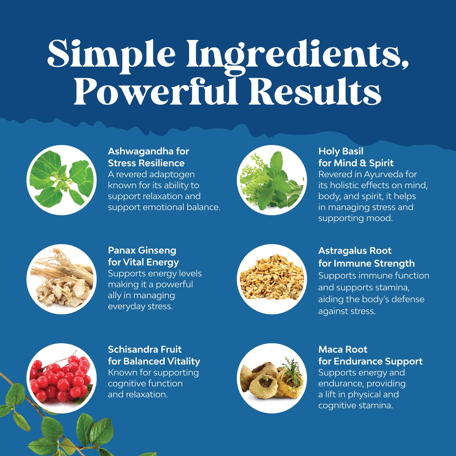 Herbal Adaptogen Mood Support Supplement - Calming Adaptogens Supplement for Stress & Cortisol Management with Ashwagandha Rhodiola Rosea & Maca Root - Vegan & Daytime Friendly - 60 Count - OzHealthStandard