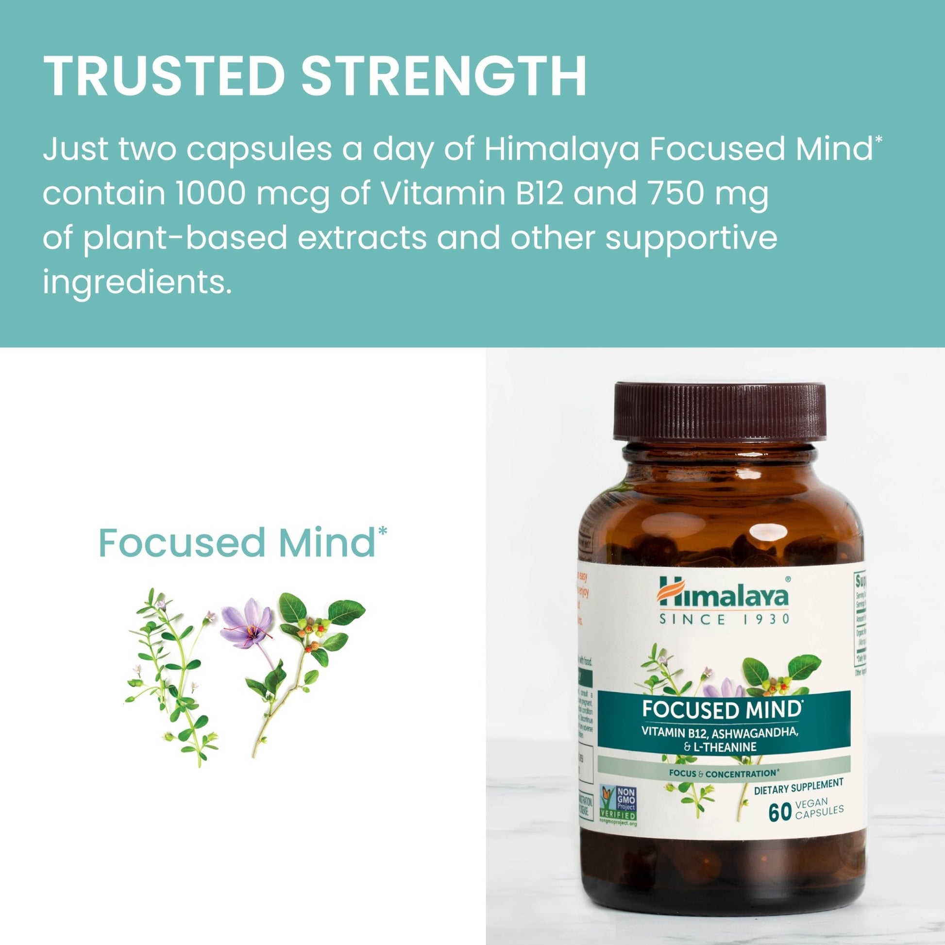 Himalaya Focused Mind Supplement, with Ashwagandha, Bacopa & L-Theanine for Attention, Focus and Energy Support, 60 Vegan Capsules, Gluten Free, 1 Month Supply - OzHealthStandard