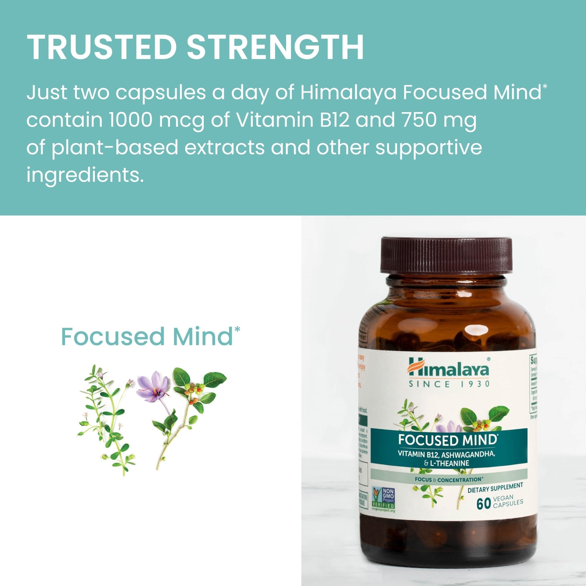 Himalaya Focused Mind Supplement, with Ashwagandha, Bacopa & L-Theanine for Attention, Focus and Energy Support, 60 Vegan Capsules, Gluten Free, 1 Month Supply - OzHealthStandard