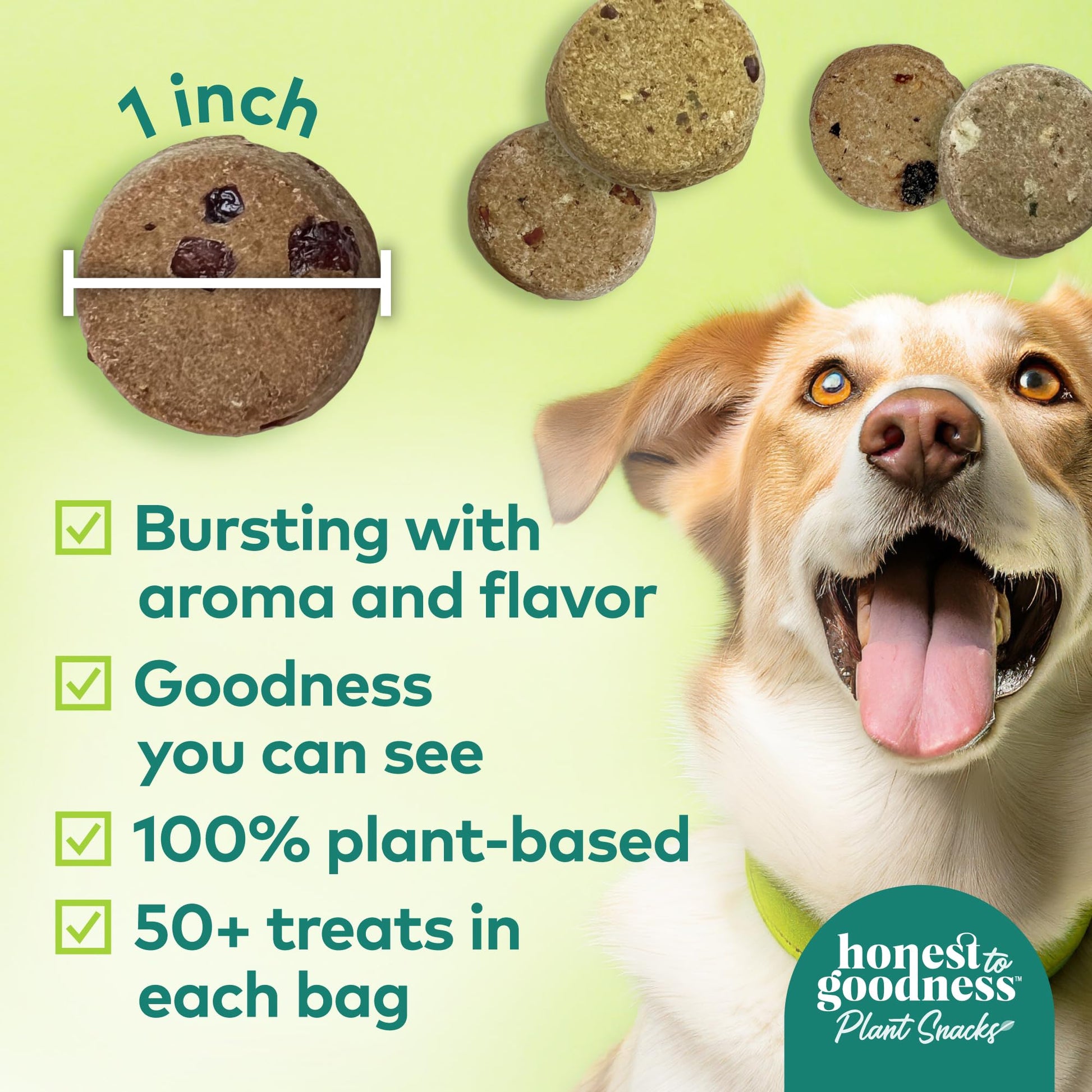 Honest to Goodness Plant Snacks Dog Treats, Enriched with Omega 3s & Postbiotics, 8oz Variety Pack, 6 Bags - OzHealthStandard