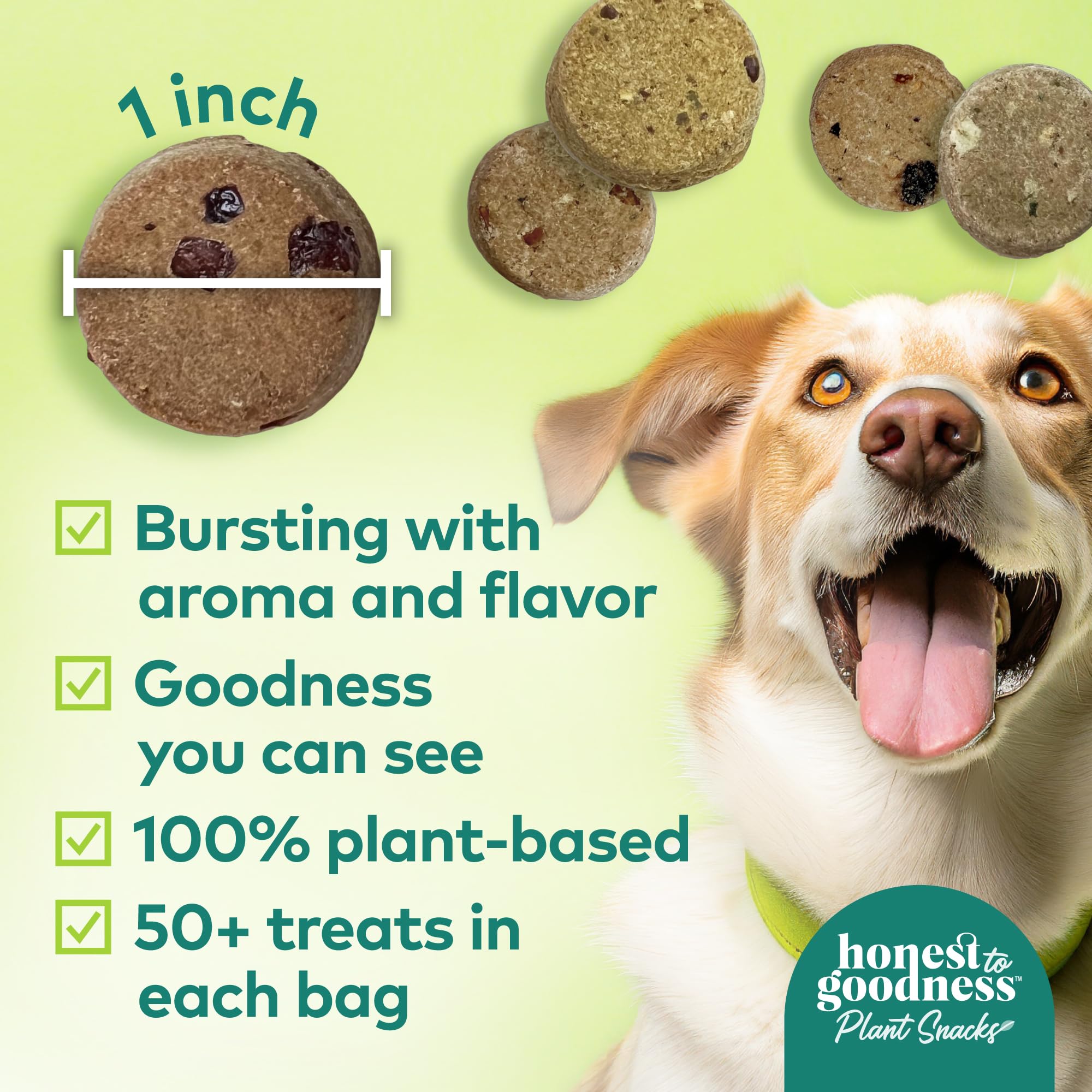Honest to Goodness Plant Snacks Dog Treats, Enriched with Omega 3s & Postbiotics, 8oz Variety Pack, 6 Bags - OzHealthStandard