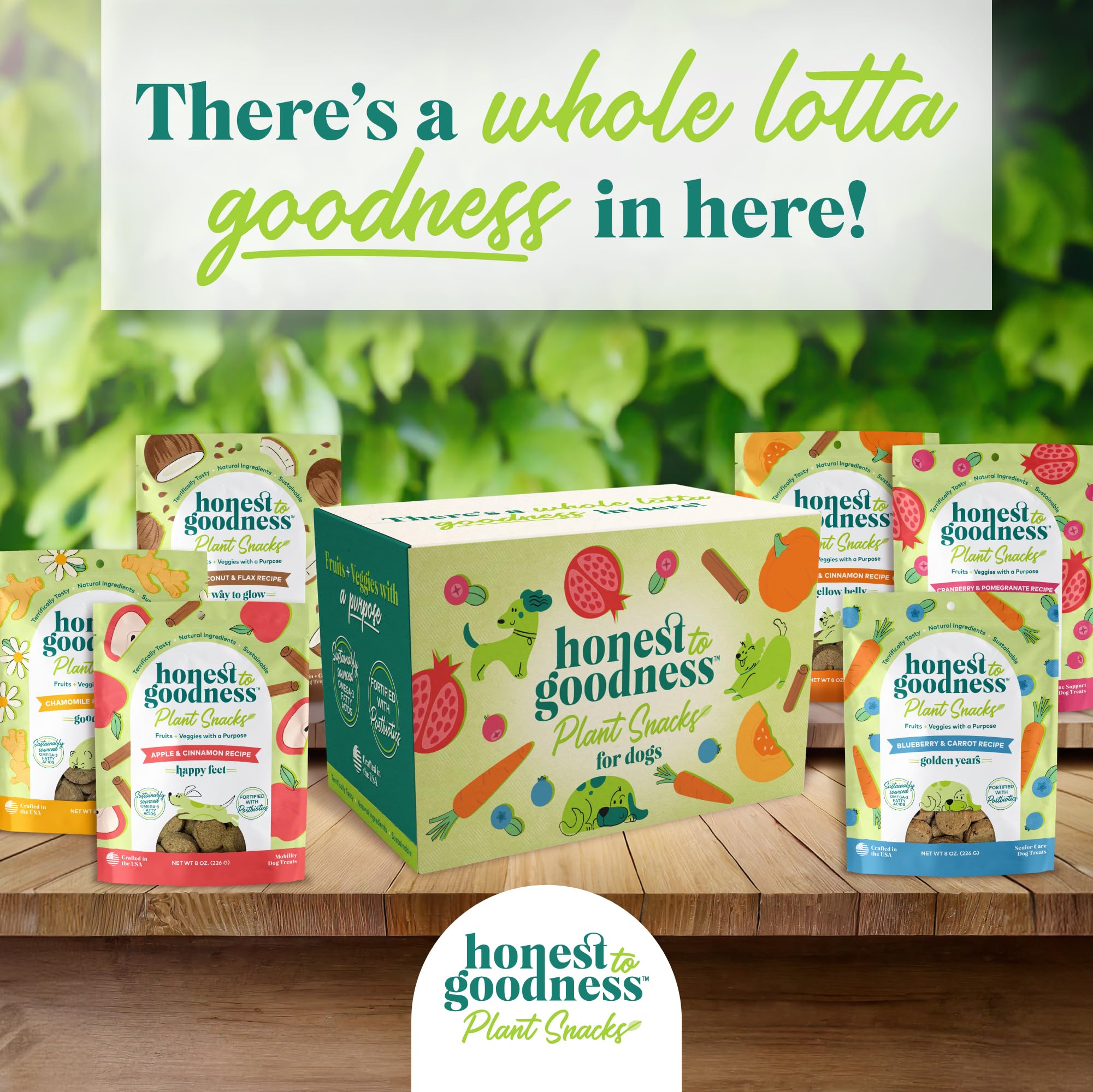 Honest to Goodness Plant Snacks Dog Treats, Enriched with Omega 3s & Postbiotics, 8oz Variety Pack, 6 Bags - OzHealthStandard
