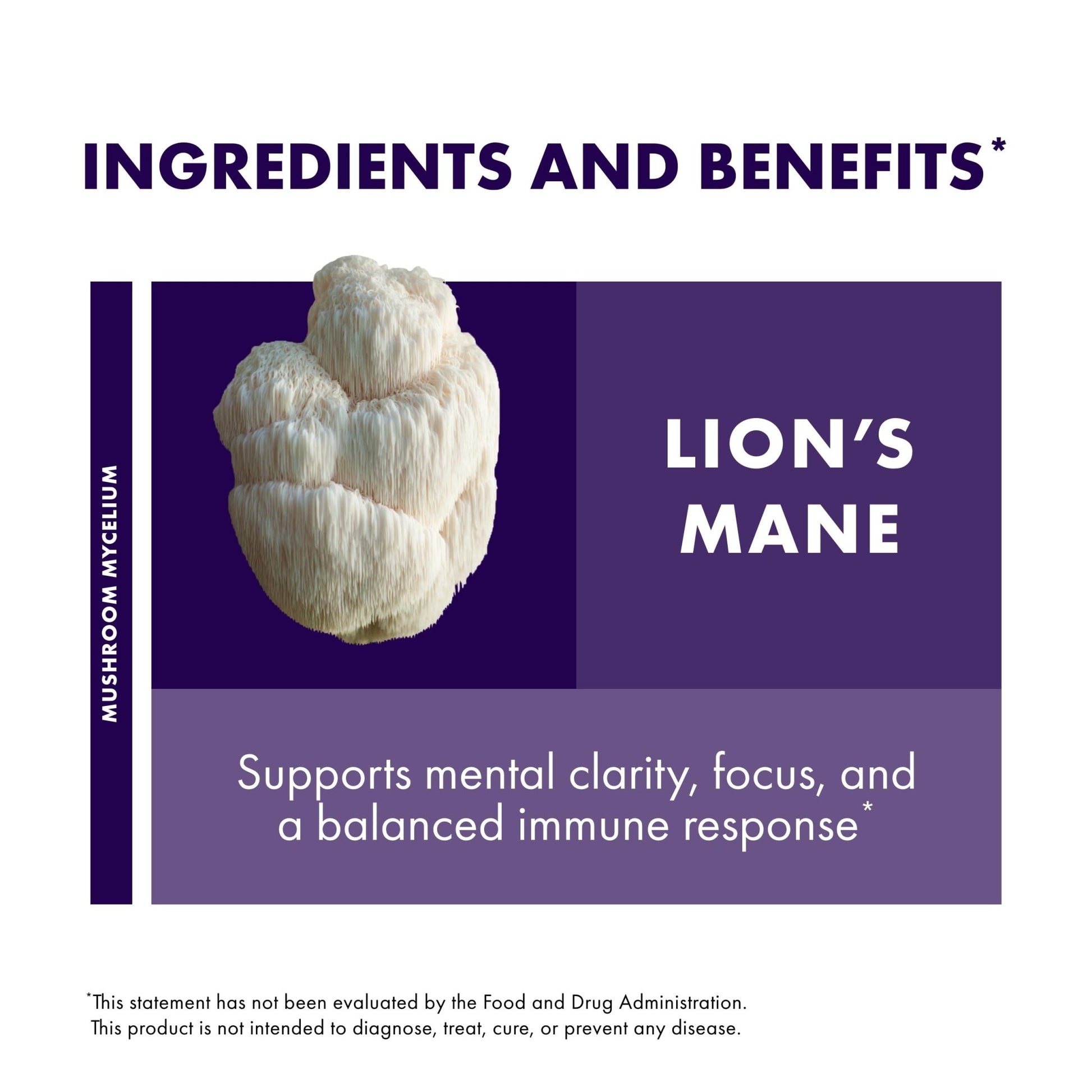 Host Defense Mushrooms Lion's Mane - Brain Health Support Supplement for Focus & Memory Function - Immune & Nervous System Support Supplement- 30 Capsules - OzHealthStandard