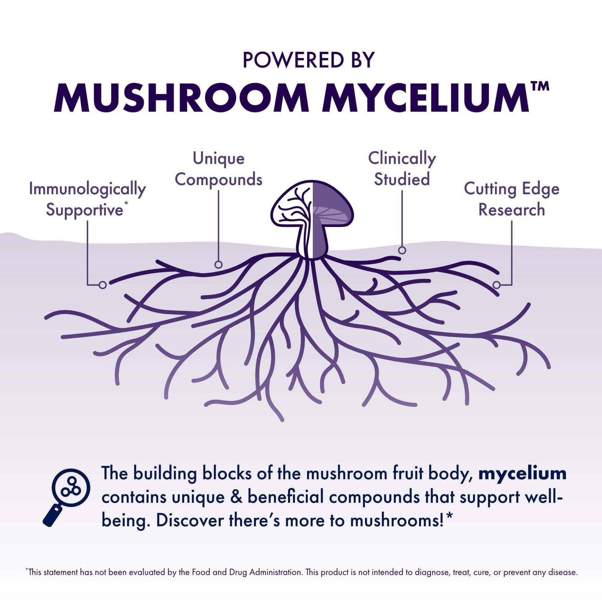 Host Defense MycoBotanicals Brain* Capsules - Brain Support Supplement with Lion's Mane, Reishi & Cordyceps Mushroom - Herbal Supplement for Memory & Focus Support - 60 Capsules - OzHealthStandard