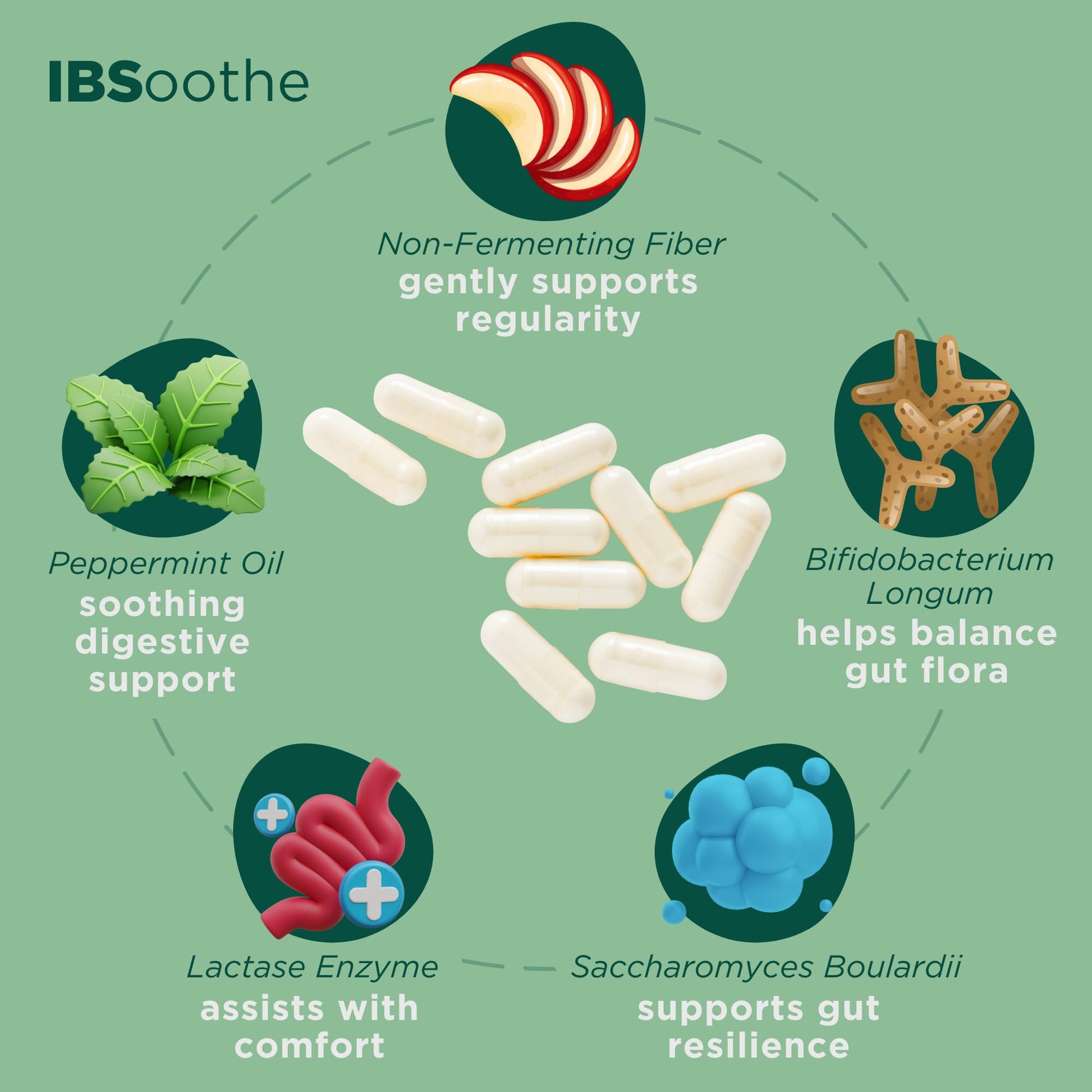 IBSoothe by Dr. Good Gut – Gut Health Supplement for Women & Men with Fiber, Probiotics, Enzymes & Peppermint Oil for Bloating Relief, Digestive Support, IBS Relief & Daily Gut Wellness – 90 Capsules - OzHealthStandard