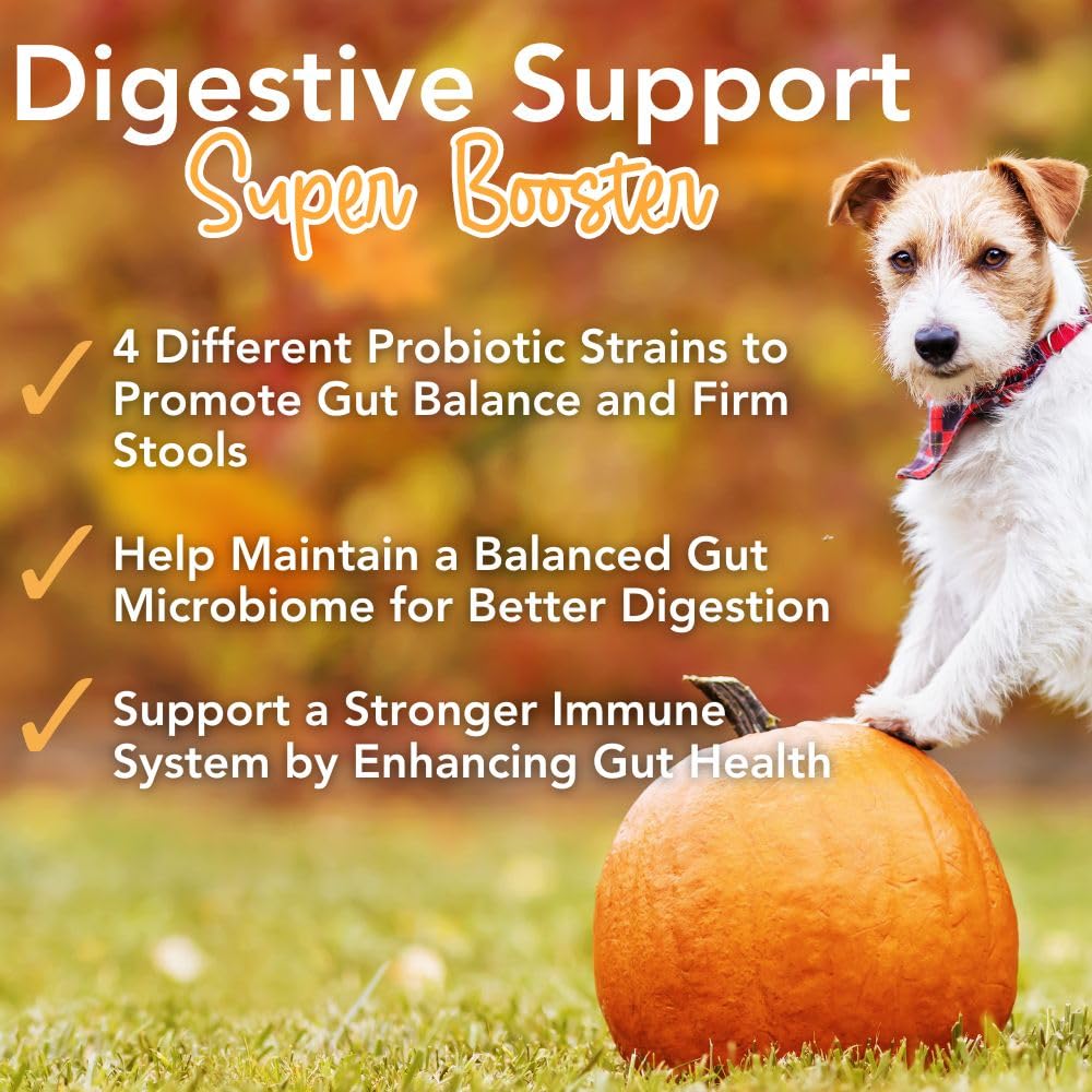 iHeartDogs Pupkin Probiotics, Prebiotics, Postbiotics, & Fiber for Dogs with Pumpkin, Gut Soothing Bone Broth & Mushrooms - OzHealthStandard