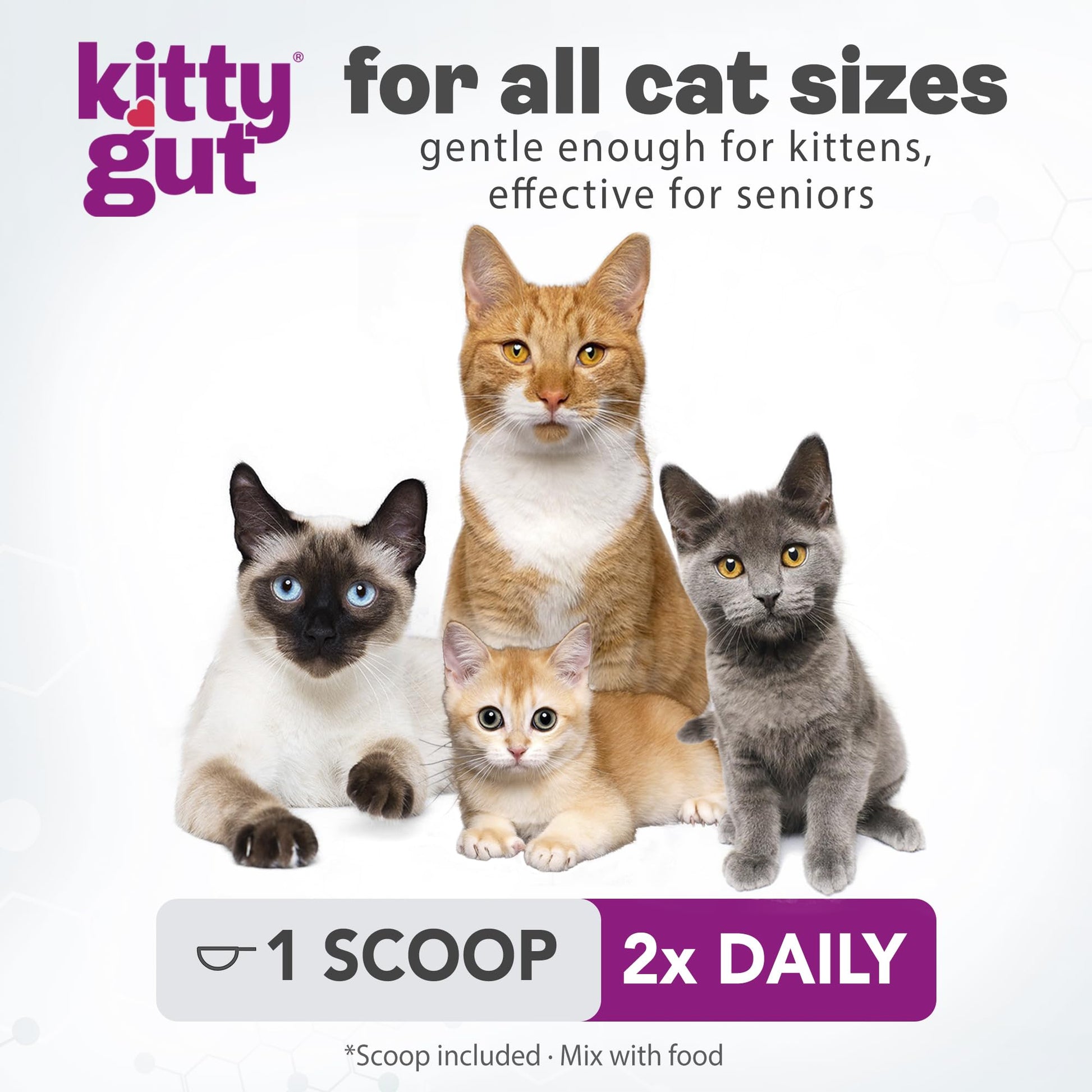 KittyGut 3-in-1 Organic Cat Probiotics & Postbiotic Supplement Powder- Made in USA-Probiotics for Cats Promote Gut Health and Cat Digestive Support, Diarrhea and Vomiting (60g) - OzHealthStandard