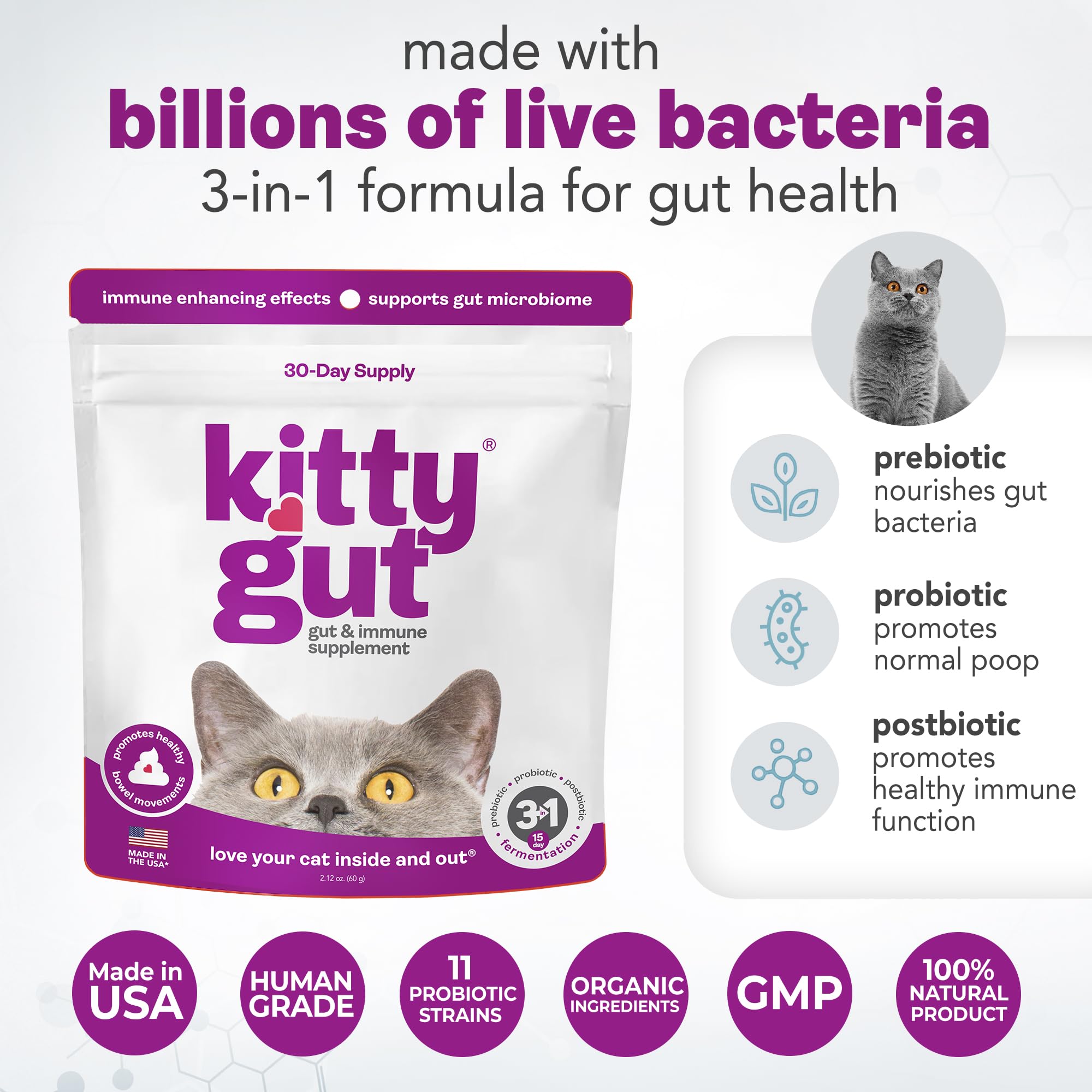 KittyGut 3-in-1 Organic Cat Probiotics & Postbiotic Supplement Powder- Made in USA-Probiotics for Cats Promote Gut Health and Cat Digestive Support, Diarrhea and Vomiting (60g) - OzHealthStandard