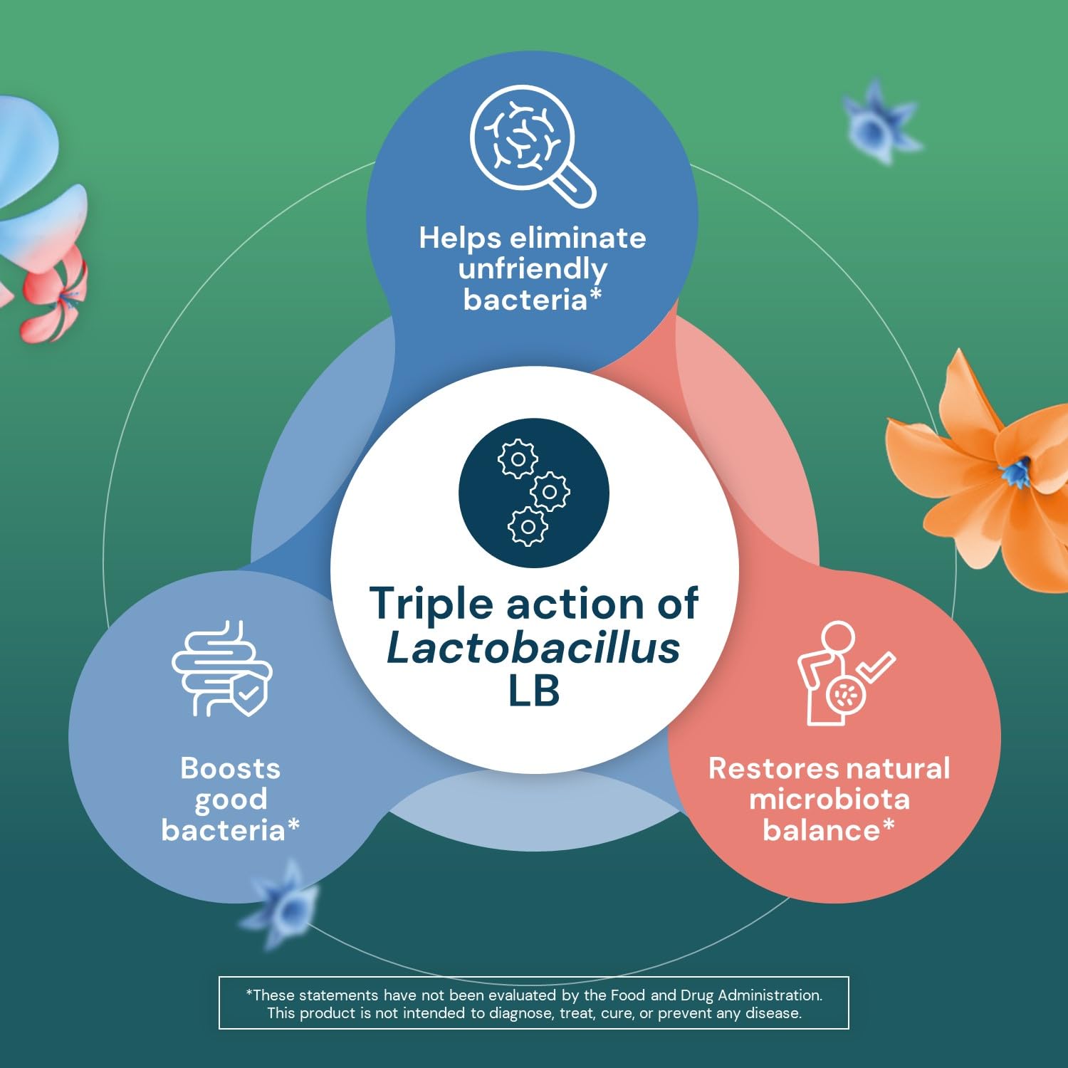 Lactéol diarrhEase Kids - a Safe, Drug Free and clinically Tested postbiotic Strain That Shortens The Duration of Occasional Diarrhea- Works Naturally with Your Child’s Body, 10 Count - OzHealthStandard