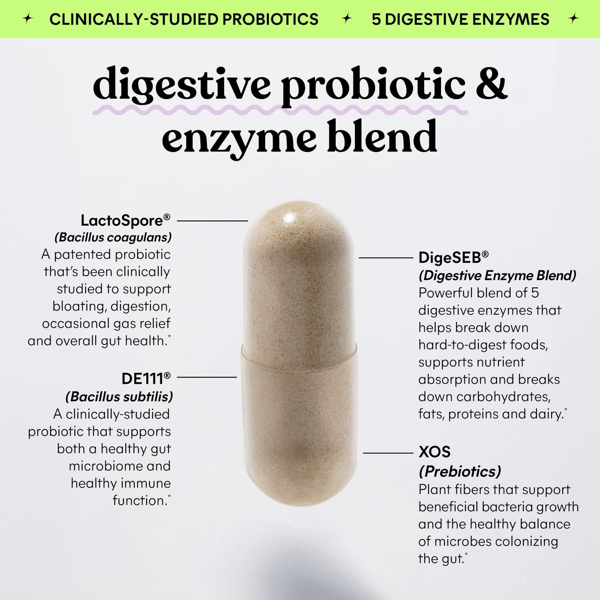 Lemme Debloat 3-in-1 Prebiotic, Probiotic & Digestive Enzyme Capsules for Bloating & Gas Relief - 2 Clinically Studied Probiotics w/5 Digestive Enzymes to Improve Digestion, Women & Men, (60 Count) - OzHealthStandard