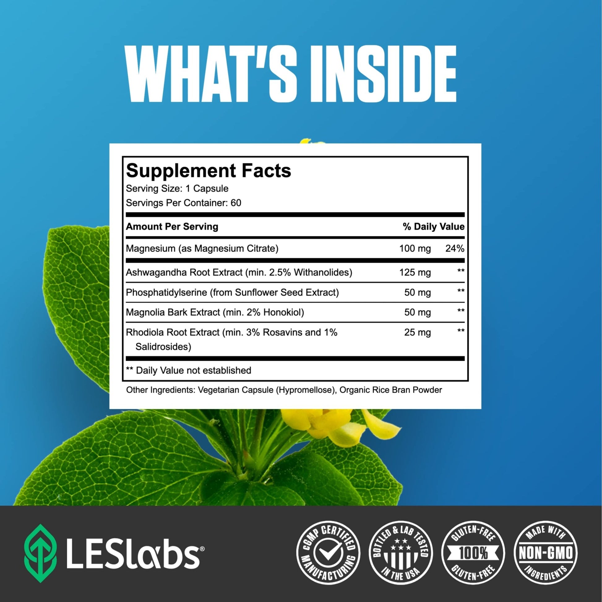 LES Labs Cortisol Health – Stress Relief, Balanced Cortisol Response, Relaxation & Deep Sleep – Phosphatidylserine, Magnesium, Magnolia Bark, Rhodiola Rosea & Ashwagandha – Non-GMO – 60 Capsules - OzHealthStandard