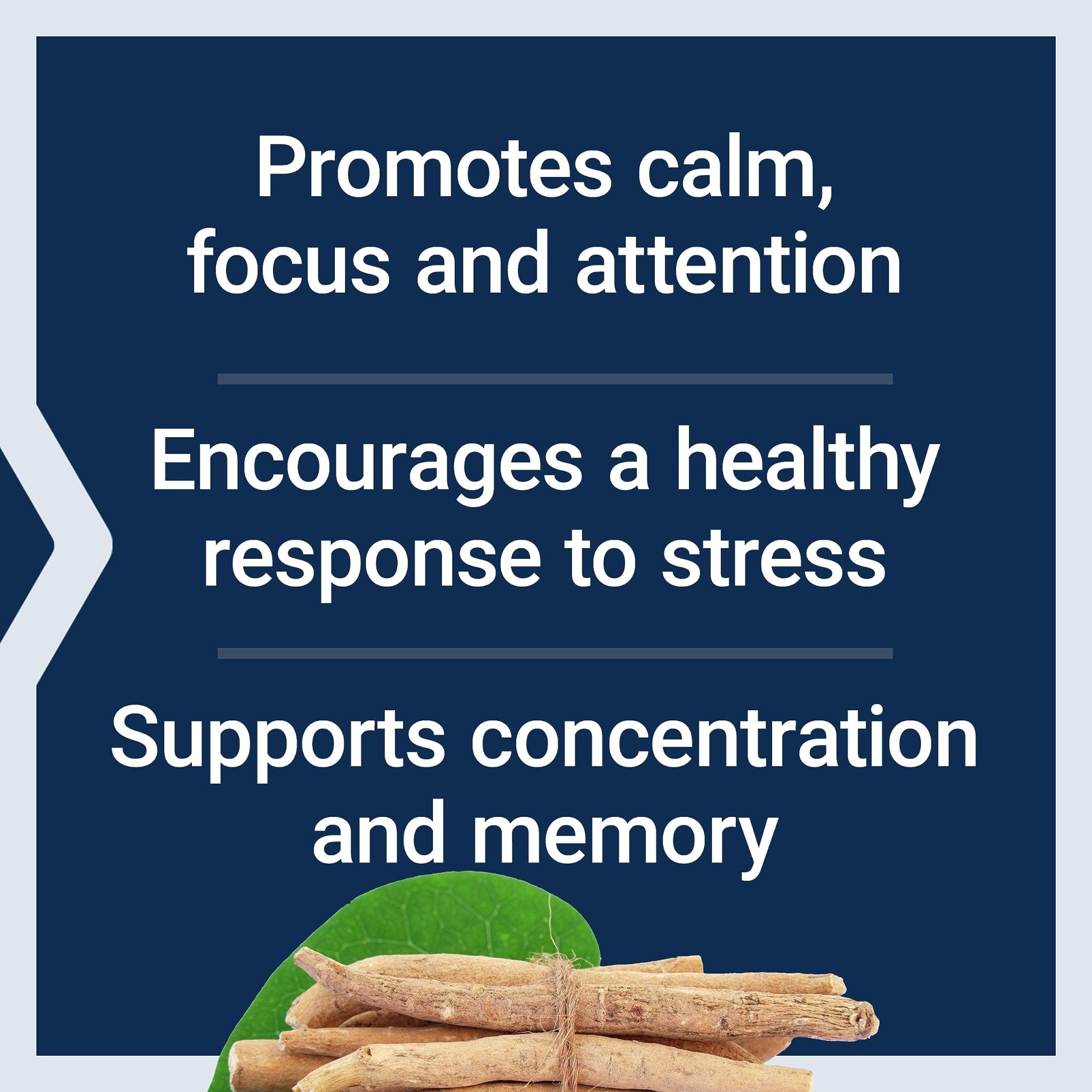 Life Extension Ashwagandha Plus Calm & Focus, ashwagandha Extract, Spearmint Extract, Focus, Attention, Relaxation, Advanced Formula, 60 Vegetarian Capsules - OzHealthStandard