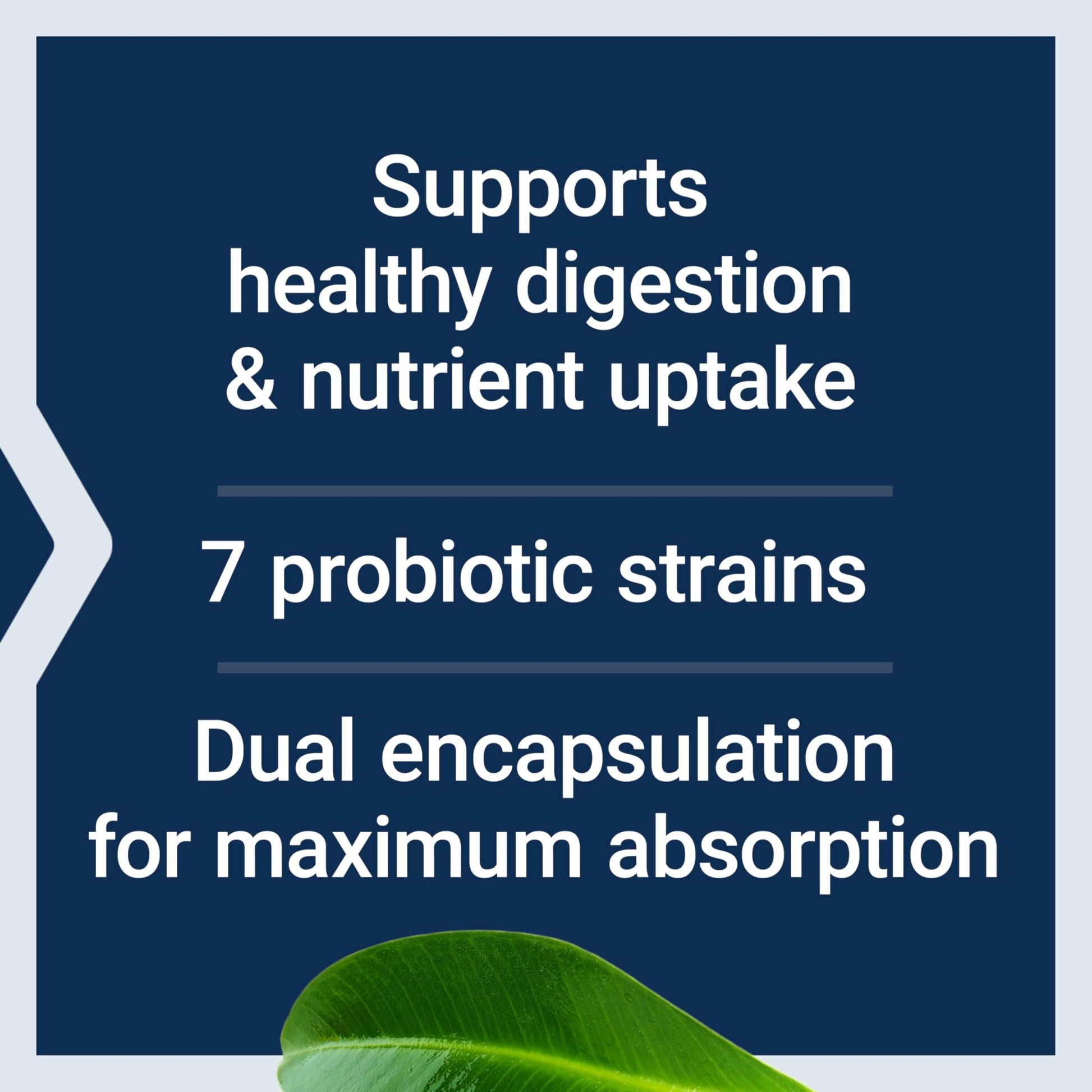 Life Extension FLORASSIST® Probiotic GI with Phage Technology, Digestive Health Supplement, microbiome Balance, Gut Health, Gluten Free, Vegetarian, 30 Capsules - OzHealthStandard