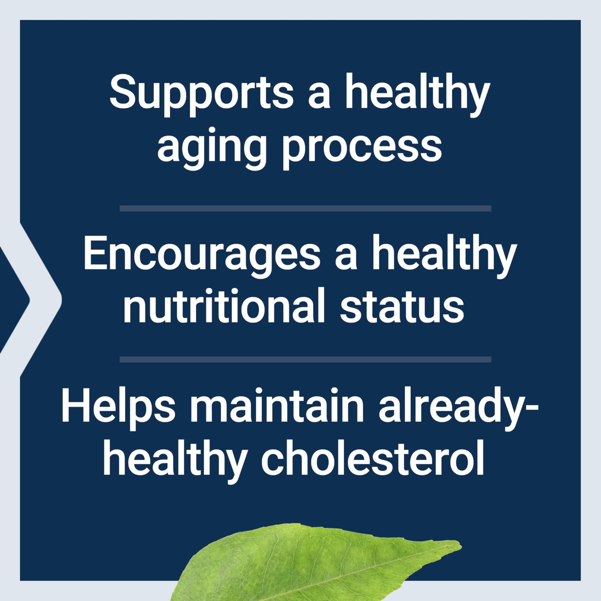 Life Extension FLORASSIST® Probiotic Youthful Gut, Healthy Aging Supplement, postbiotic and probiotic Blend, Heart and Gut Health, Non-GMO, 1-Daily, Gluten-Free, Vegetarian, 30 Capsules - OzHealthStandard