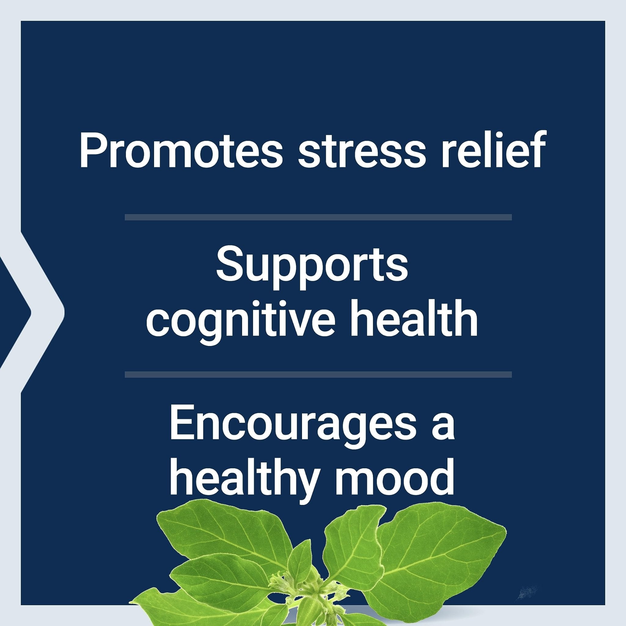 Life Extension Optimized Ashwagandha - Stress Management Supplement for a Healthy Stress Response, Focus, Memory, Stress Relief - Vegetarian, Gluten-Free, Non-GMO, 60 Capsules - OzHealthStandard